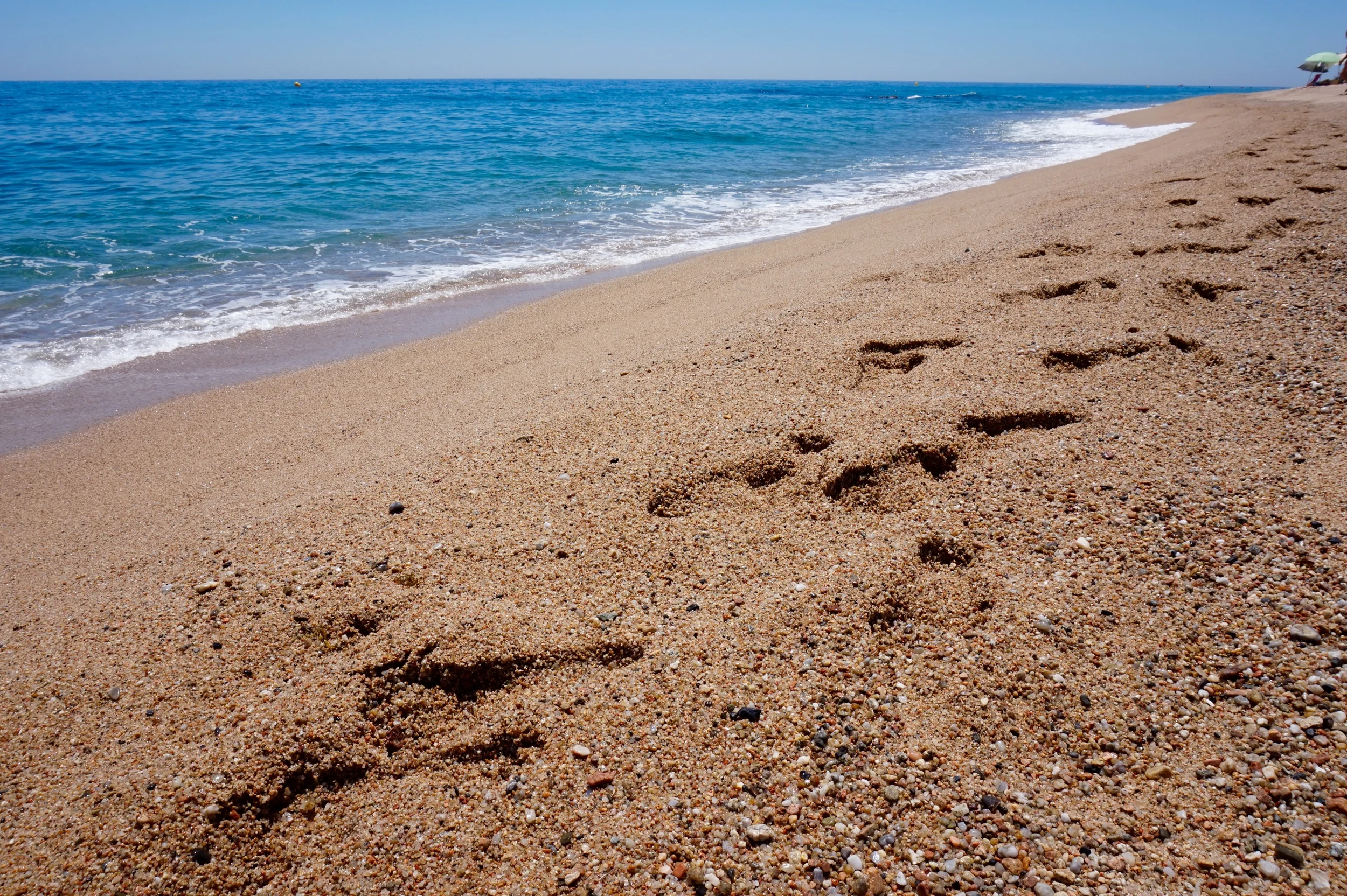 footprintsinsand.jpg