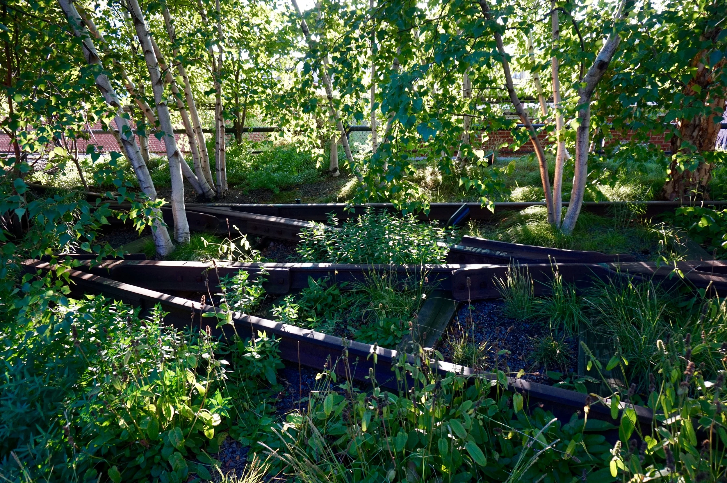 highlinenyctraintracks.jpg