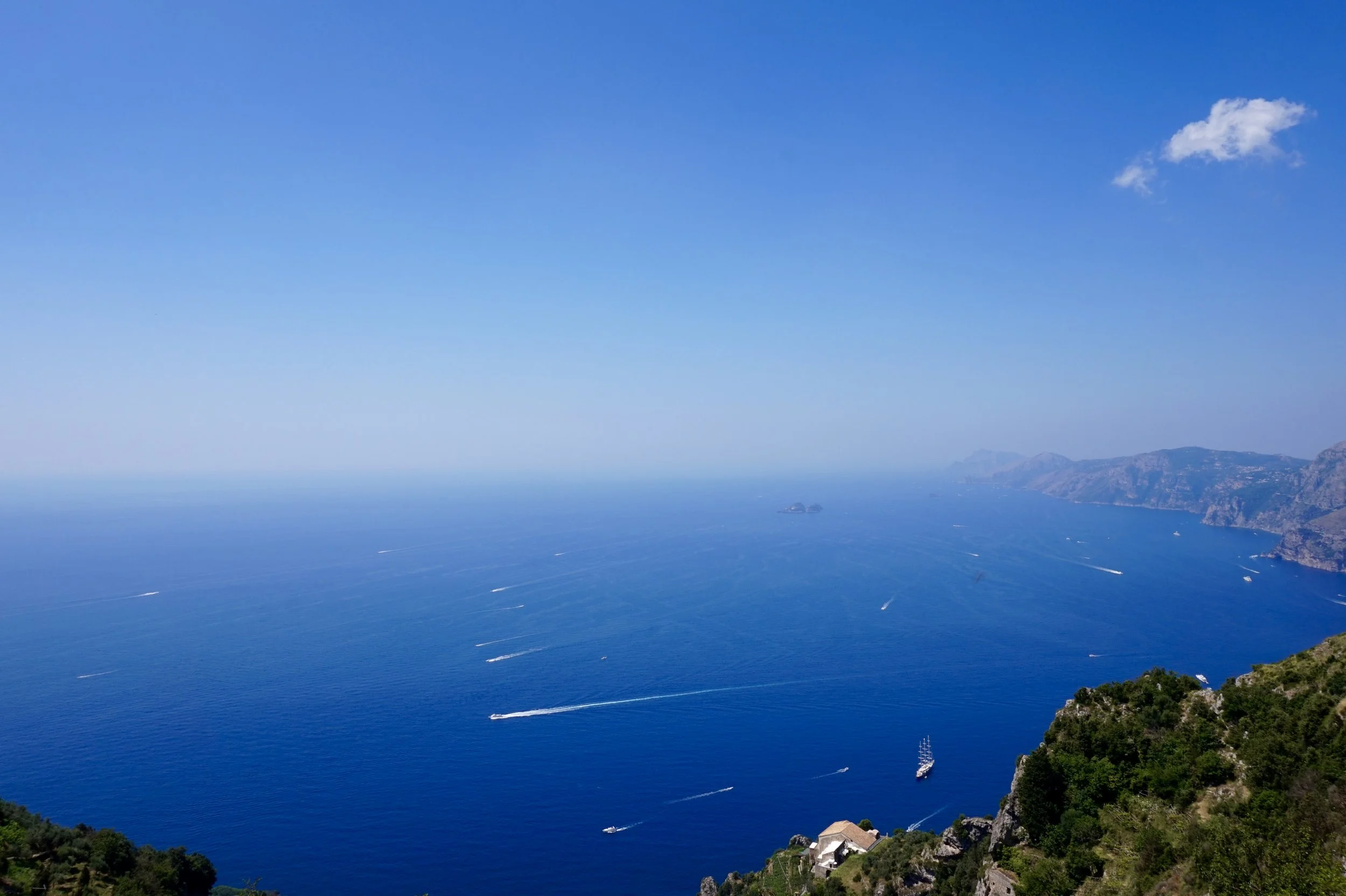 DSC08827.jpg