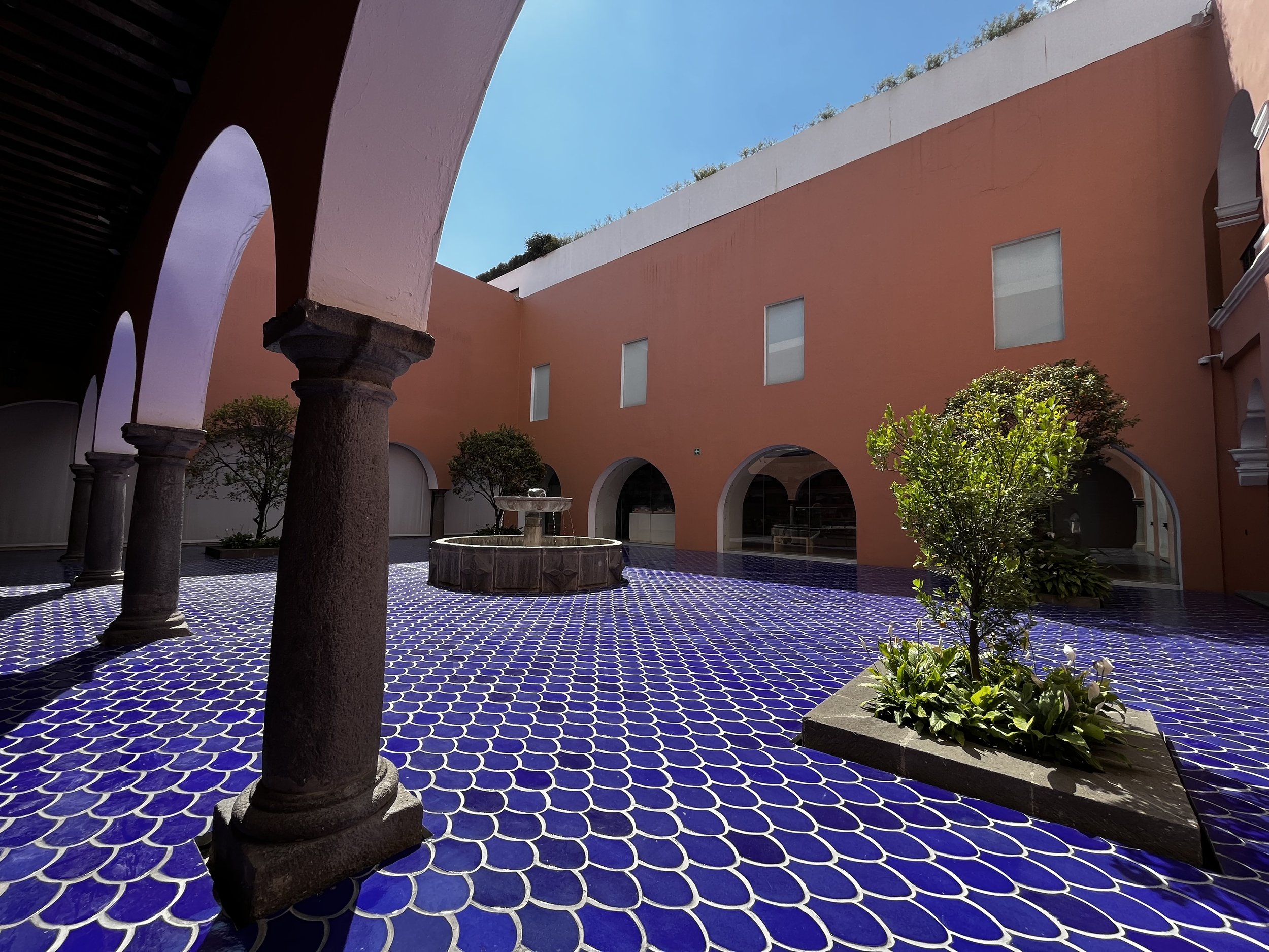Courtyard at Museo Amparo
