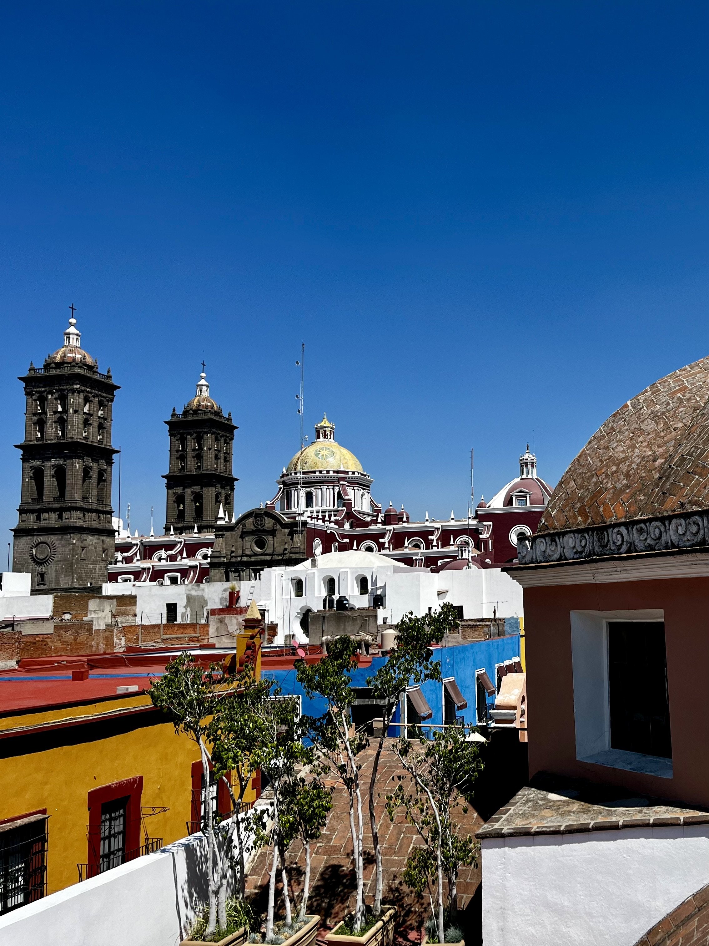 View from the Museo Amparo rooftop cafe