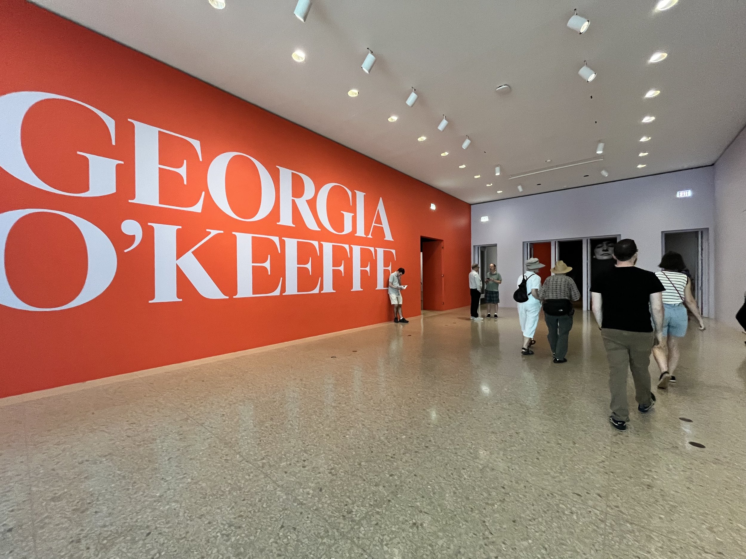 The Art Institute of Chicago, exhibit of Georgia O'Keefffe's work