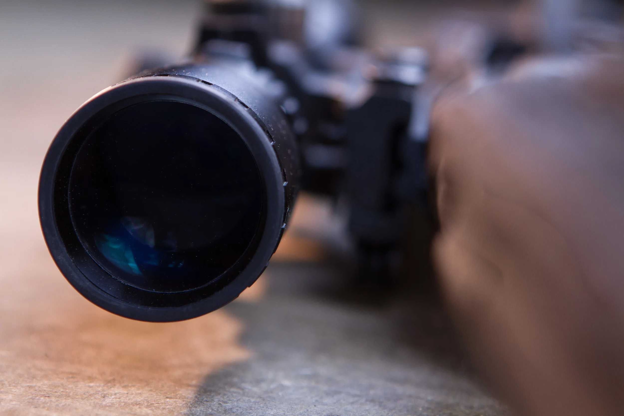 Guns_Detail_W.jpg