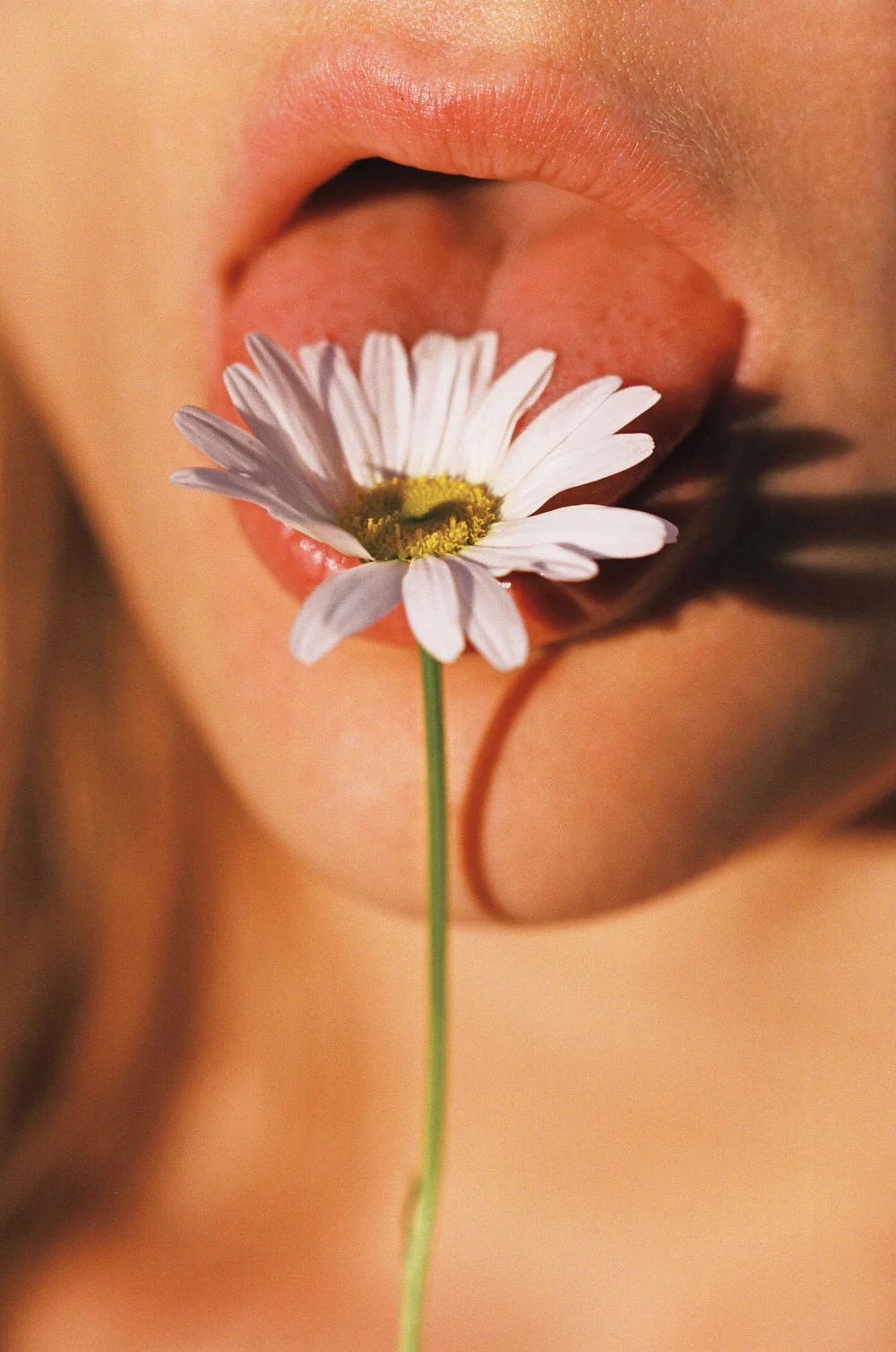 flower_print.jpg