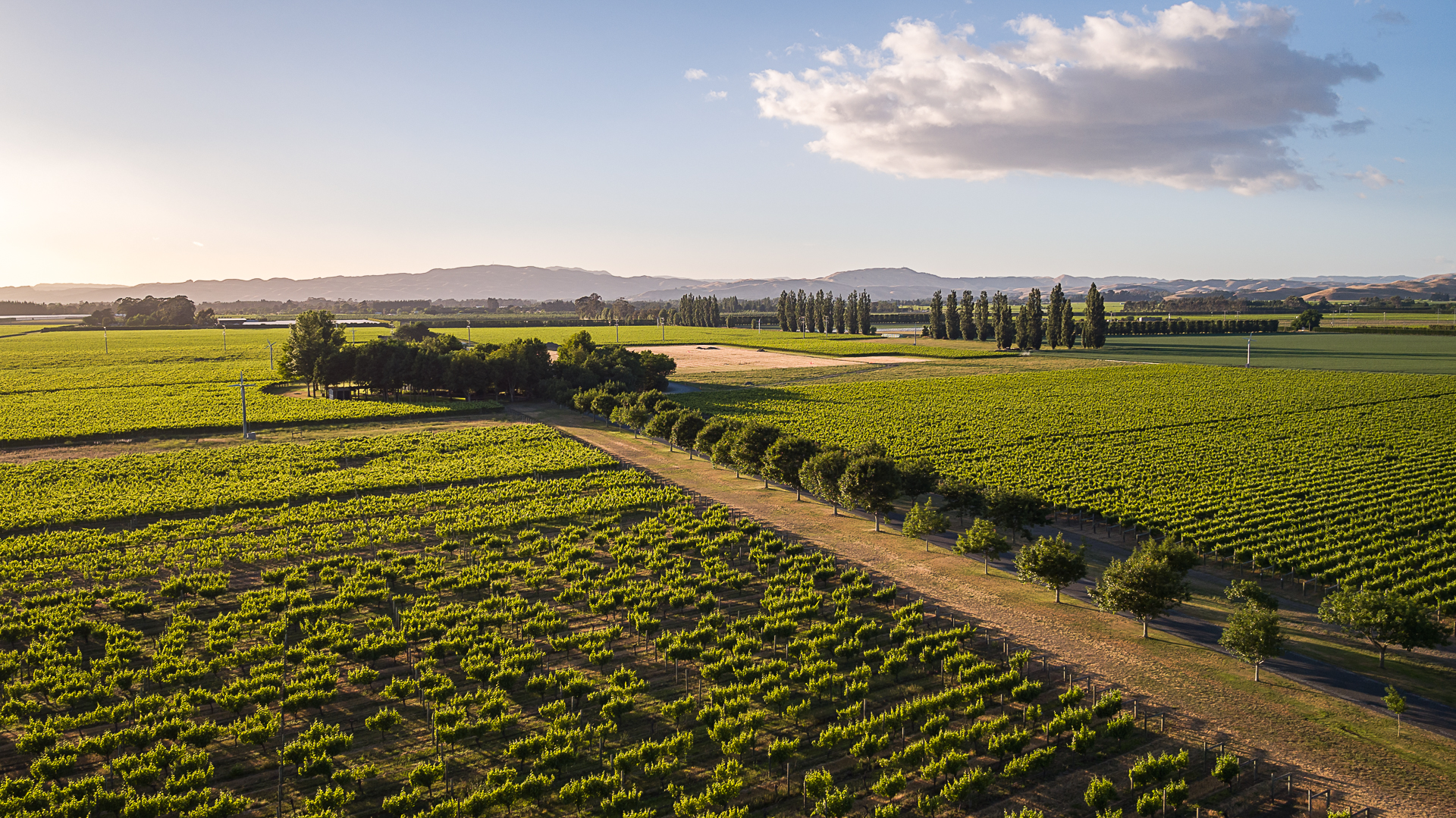 03_DJI_0017.jpg