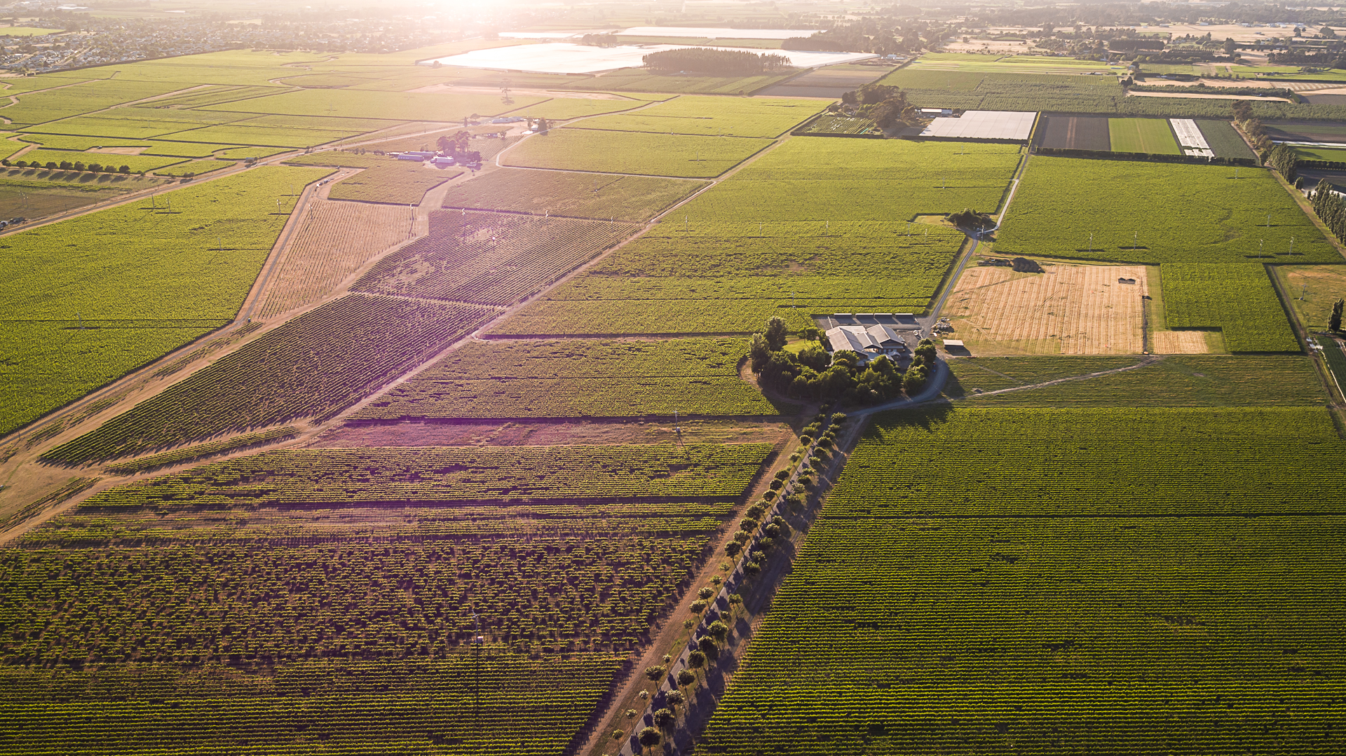 03_DJI_0053.jpg