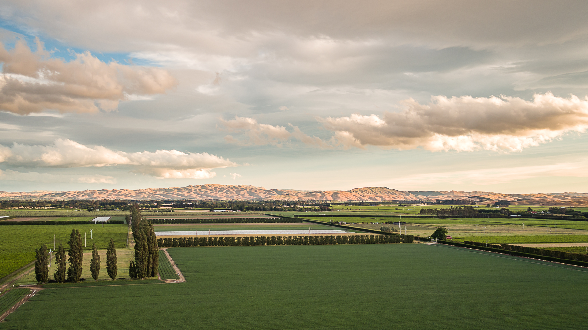 02_DJI_0018.jpg