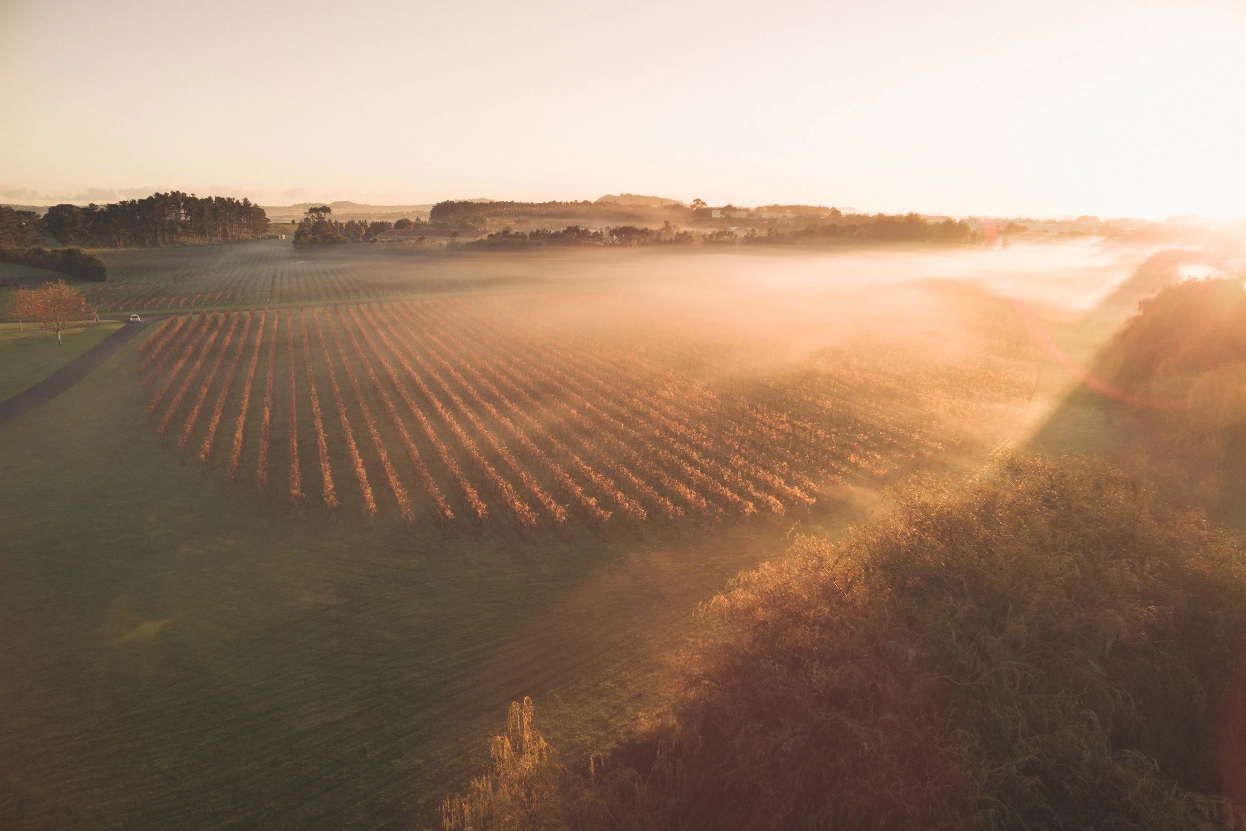 DJI_0198.jpg