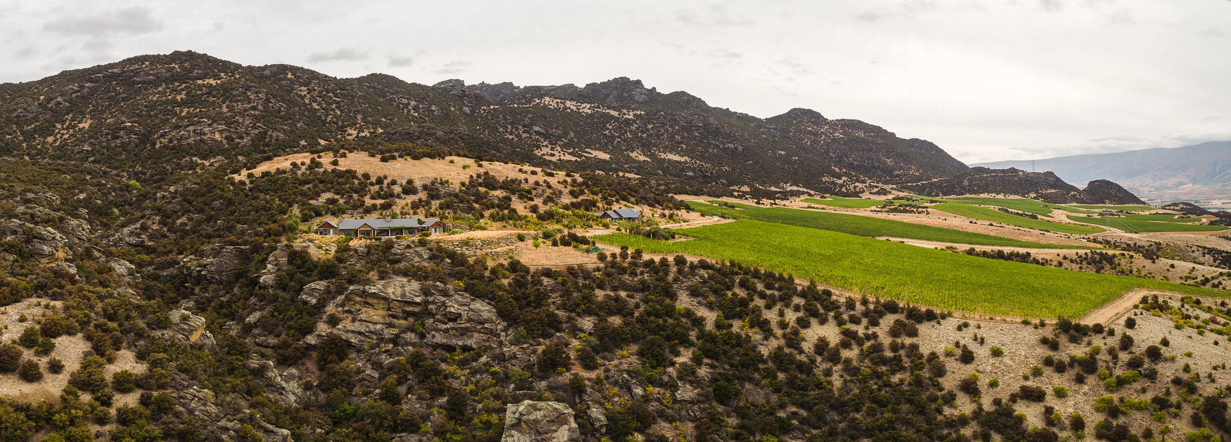 Zebra_100118_Day01_DJI_0042A-Pano.jpg
