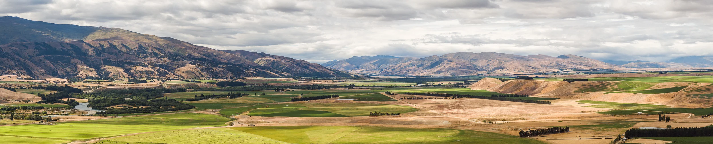 Zebra_120118_Day03_DJI_0014-Pano.jpg