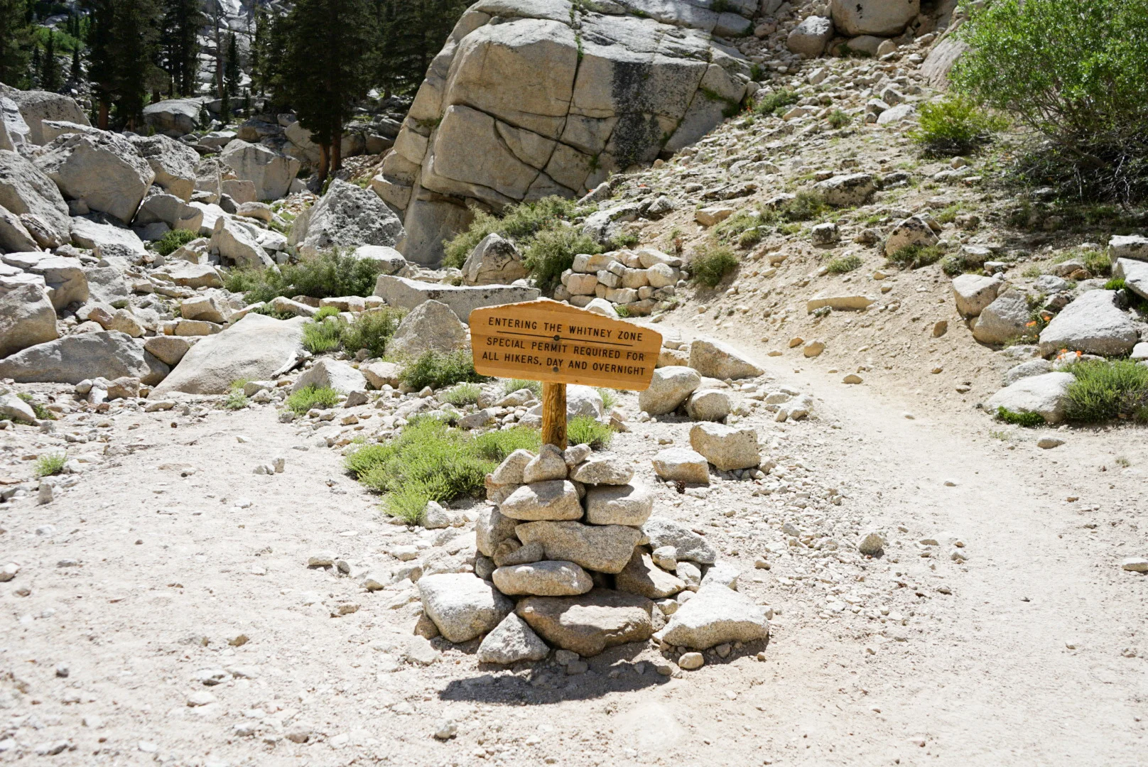 LRG_DSC09644.jpg
