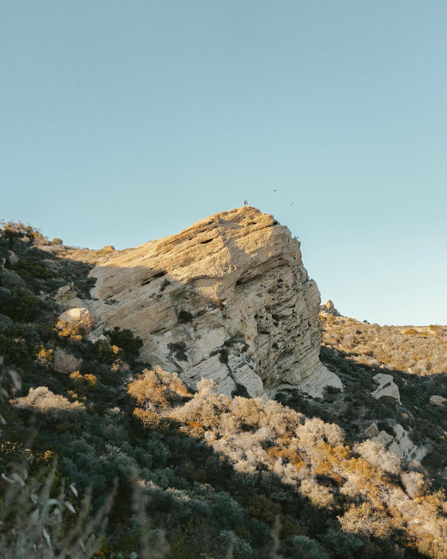 yesterday i spent the day alone on one of my favorite trails in the santa monica mountains 😊 

i&rsquo;m obviously very grateful to have a live-in hiking partner like @totallyzarnow, but being on the trail by myself is my own form of therapy. to be 