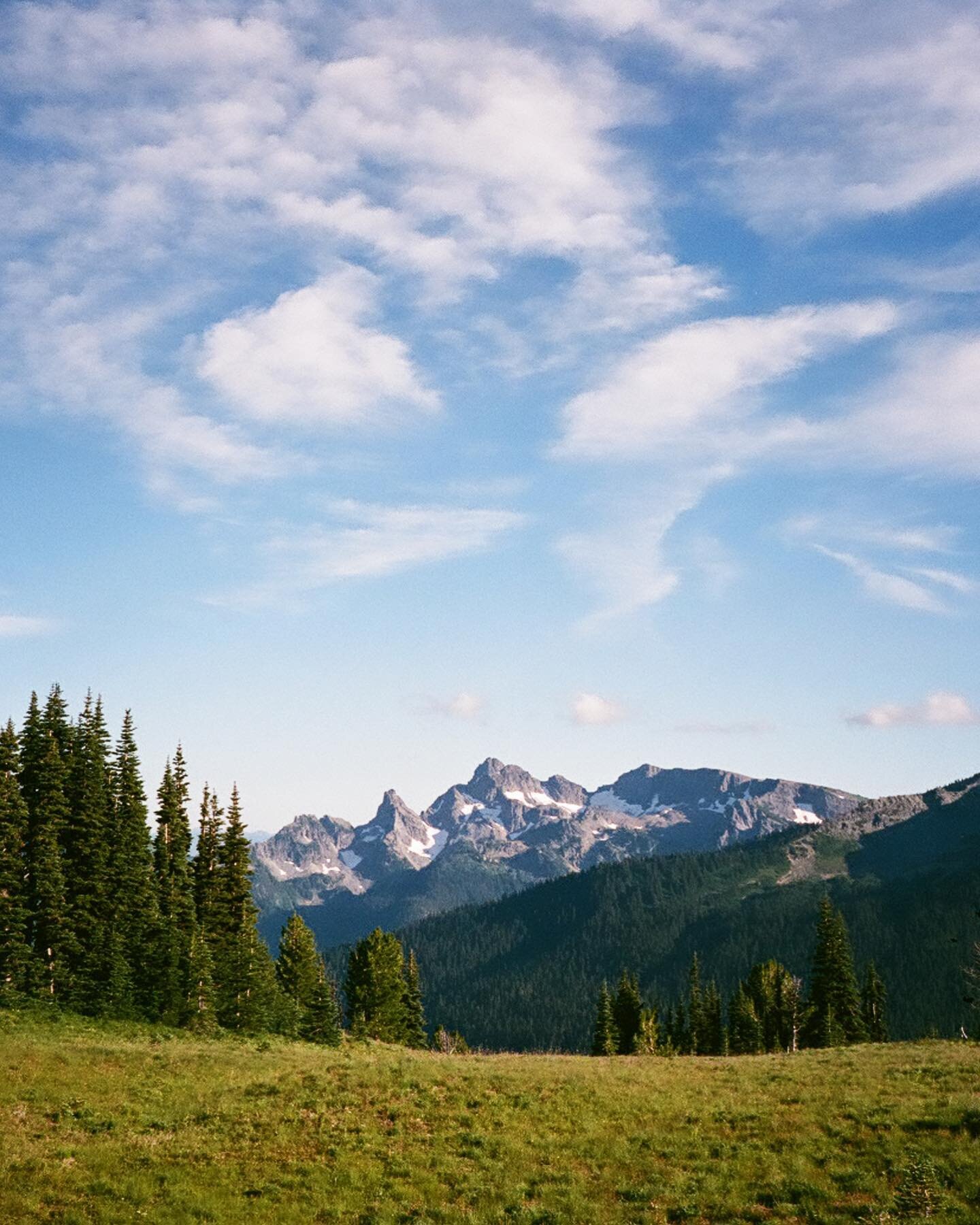 mt. rainier on film 🎞️ 

thanks to my friend @jgrannie for inspiring us to dig out an old @minolta.film point and shoot camera from me and @totallyzarnow collective camera collection. 

i sadly haven&rsquo;t shot any kind of film since college, so t