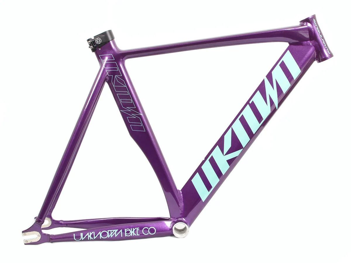 SINGULARITY — Unknown Bike