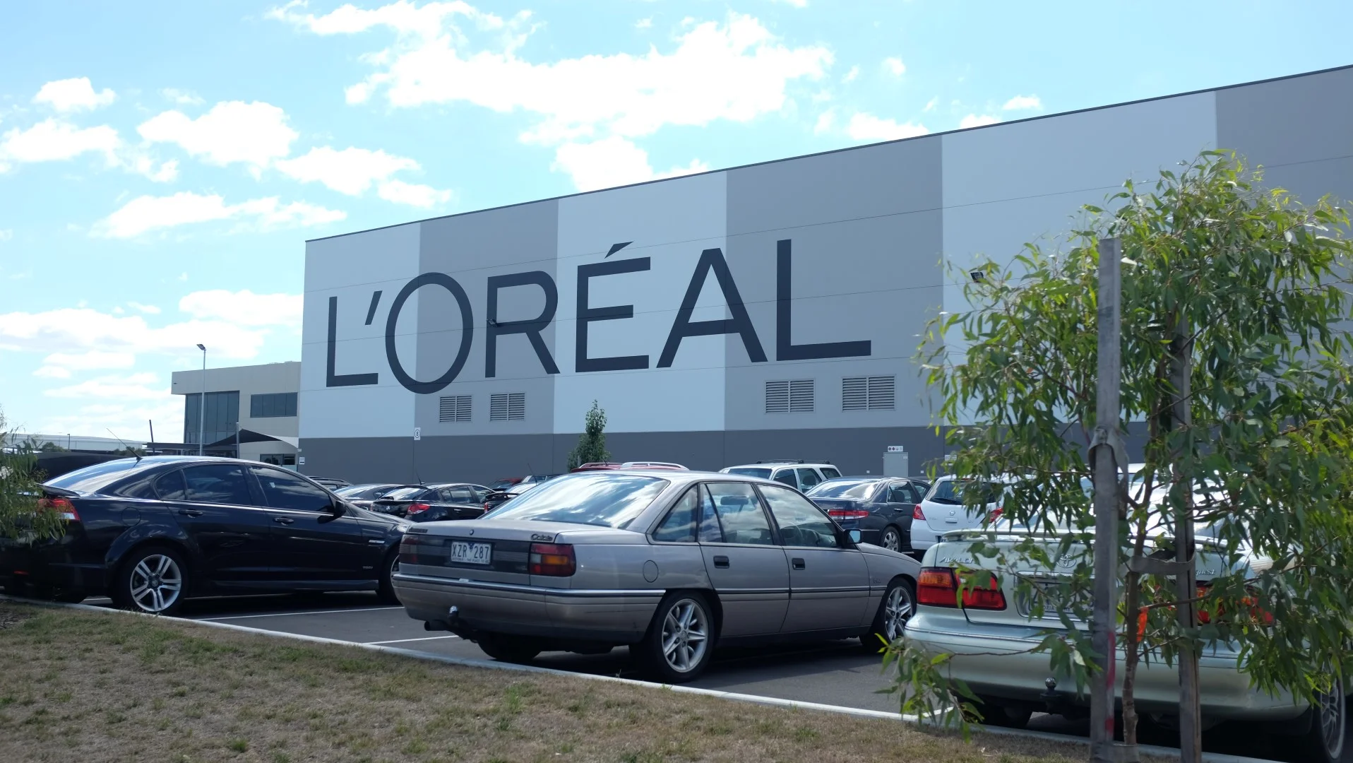 DSCF5520 (Large).JPG