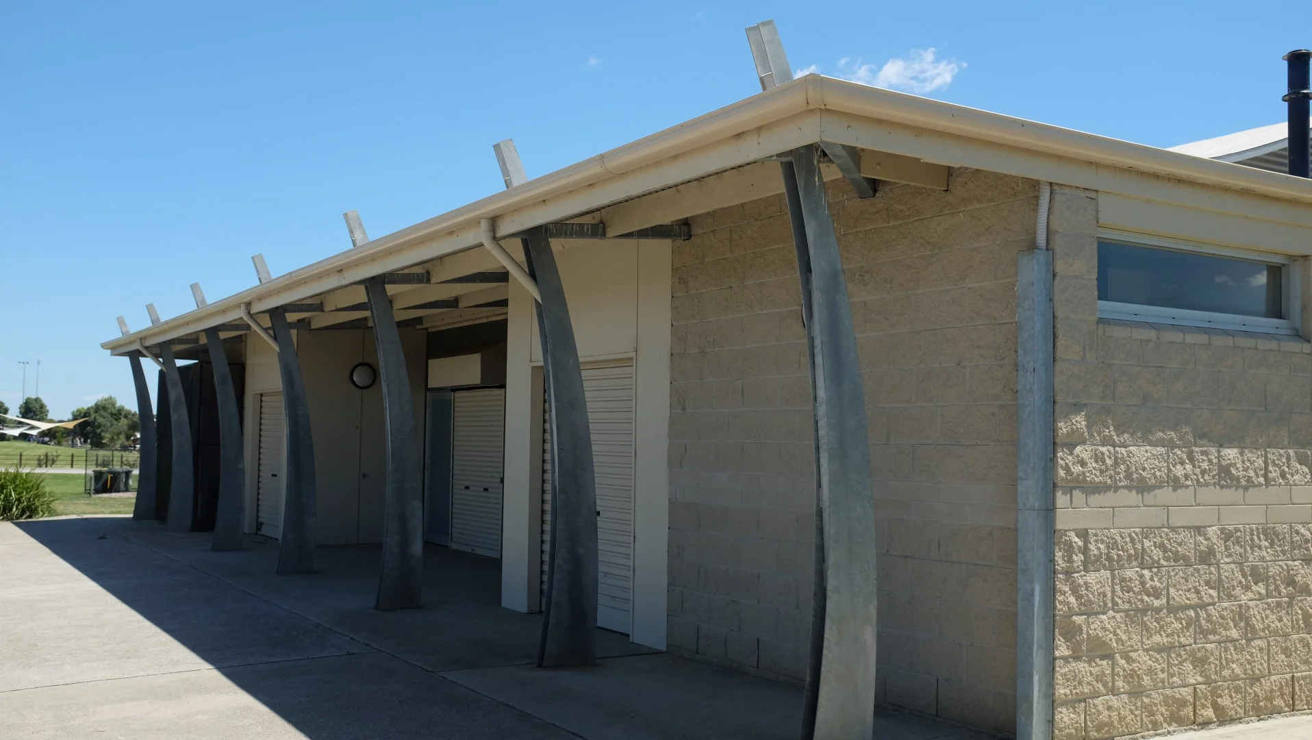 cricket (10) (Large).JPG