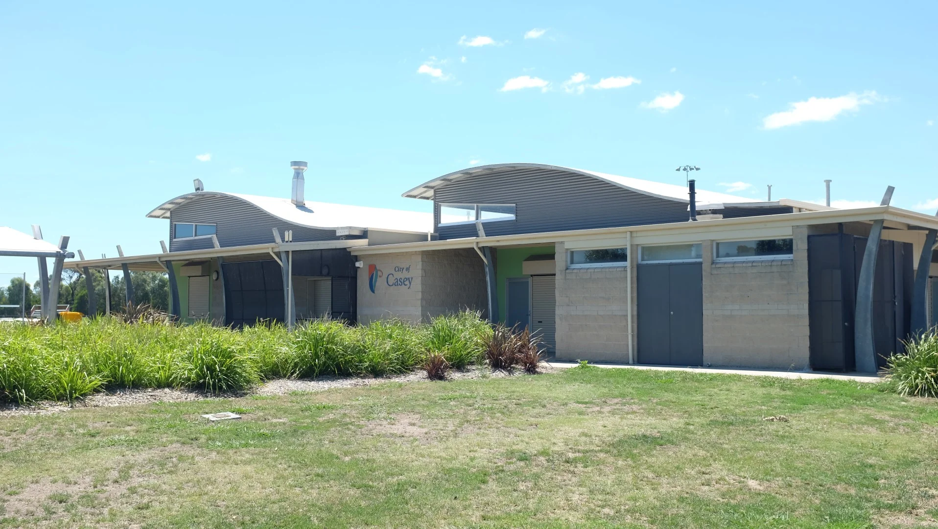 cricket (1) (Large).JPG