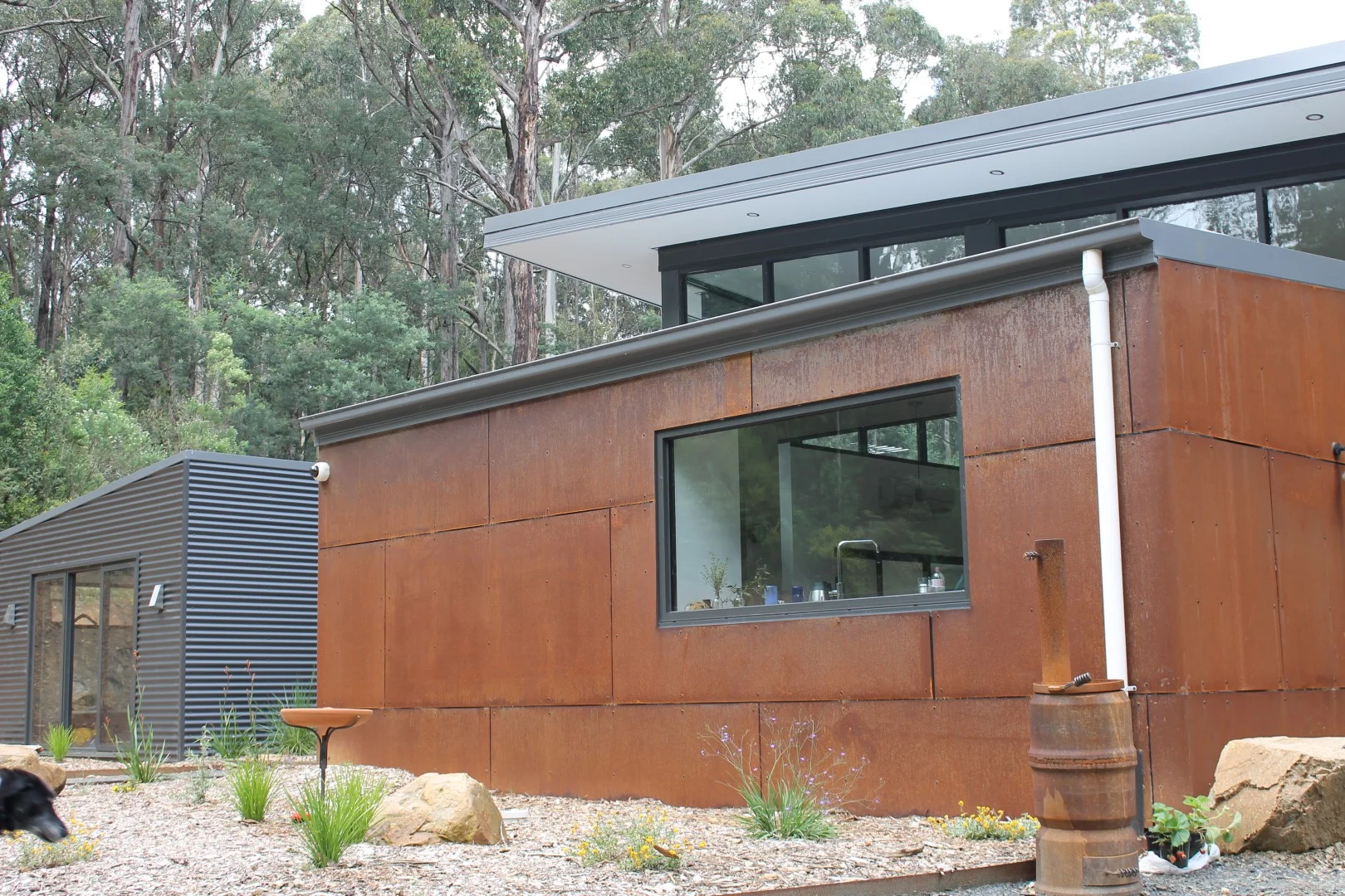 IMG_3981 (Large).JPG