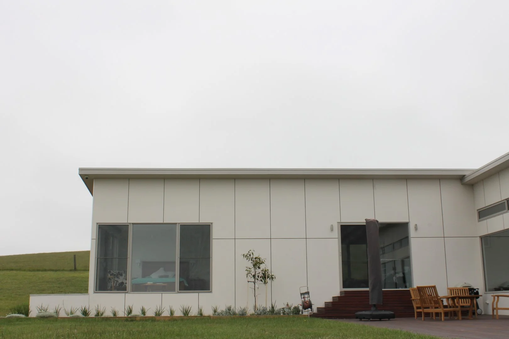 IMG_3895 (Large).JPG