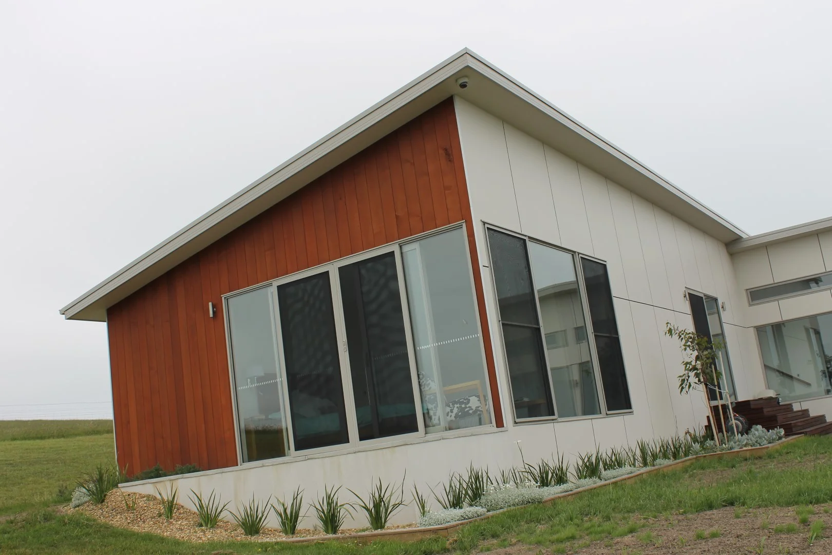 IMG_3897 (Large).JPG