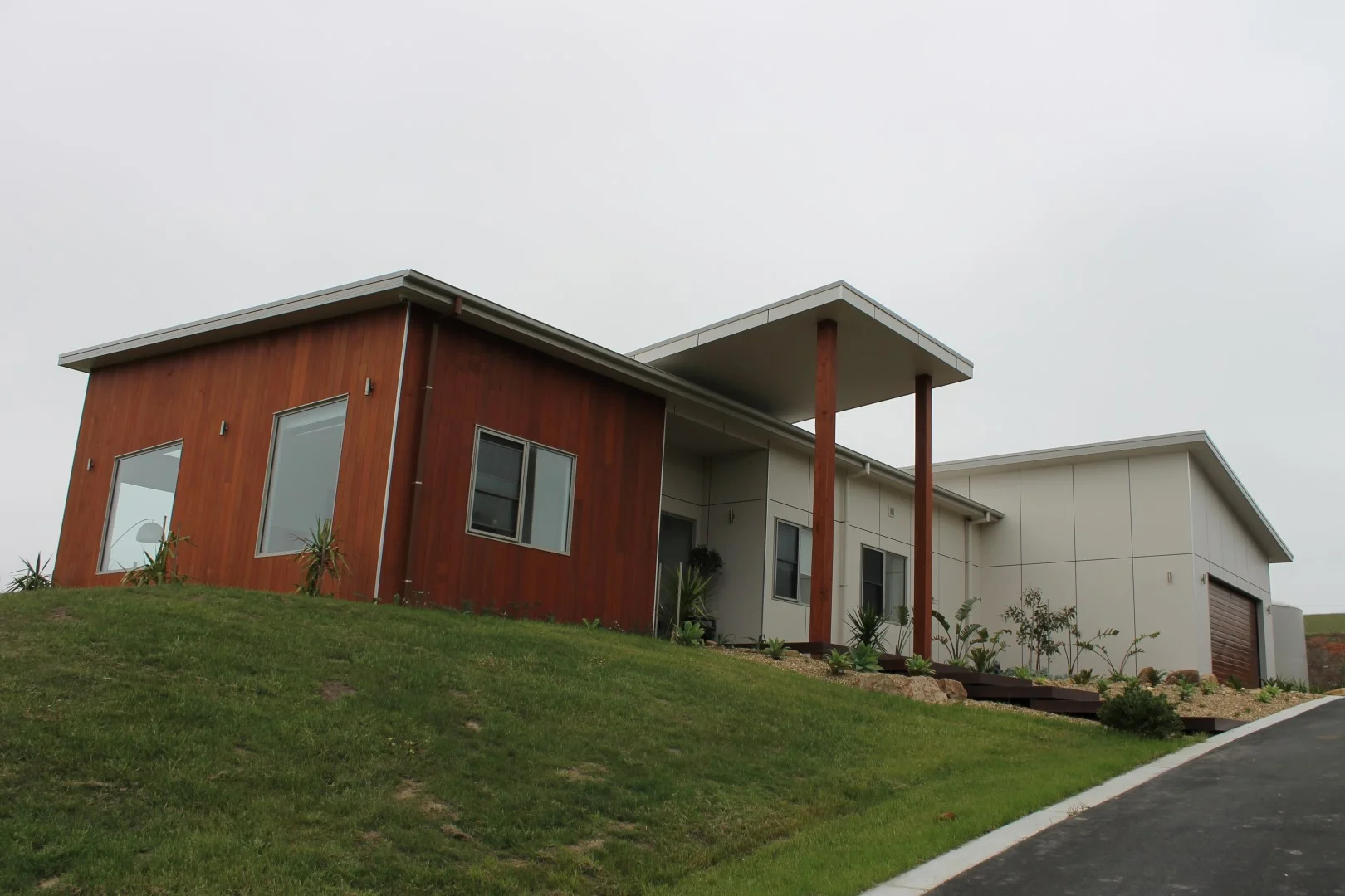 IMG_3893 (Large).JPG