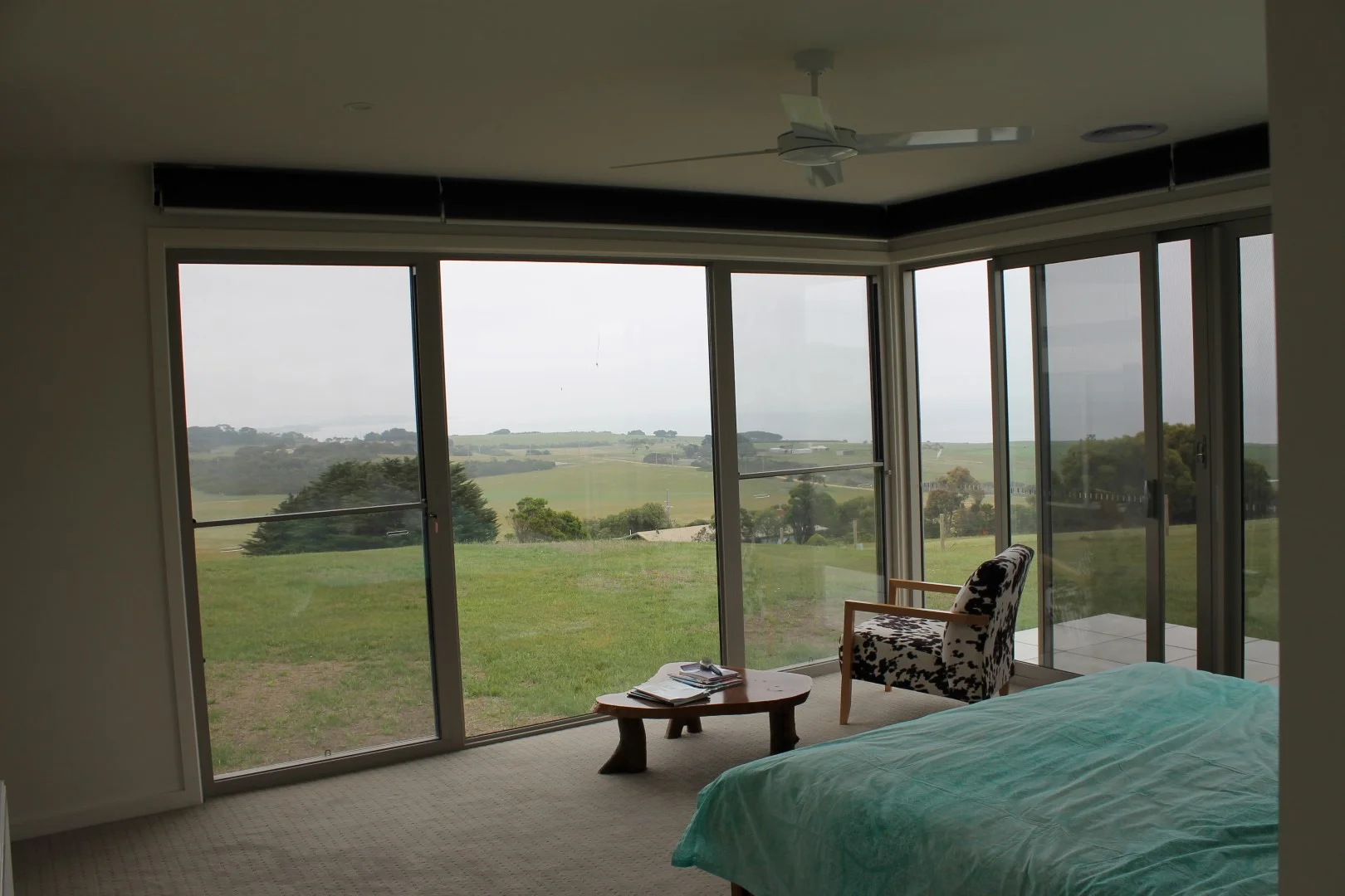 IMG_3904 (Large).JPG