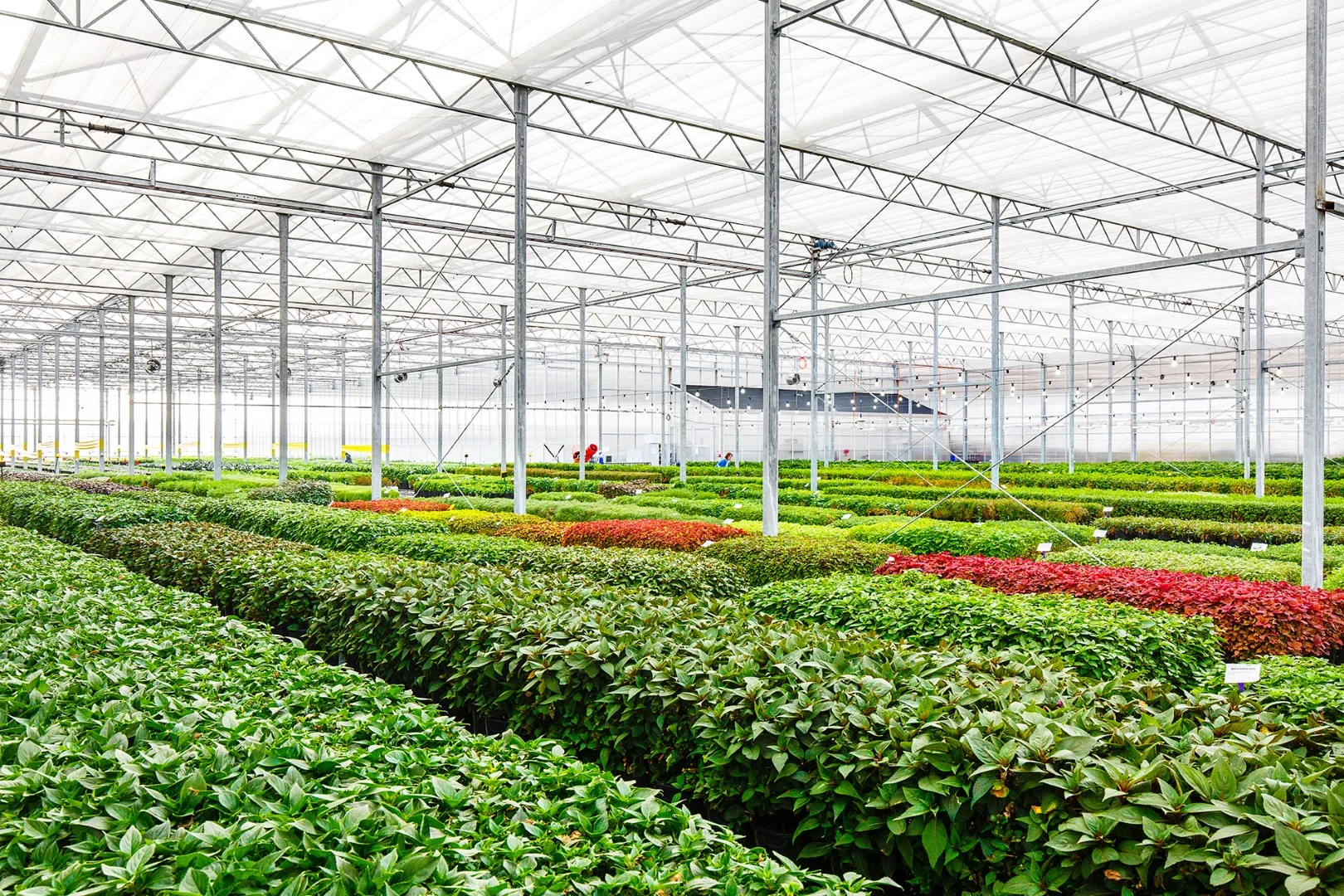 PS17001_758Dandenong_HastingsRd_EXTII_148 (Large).jpg