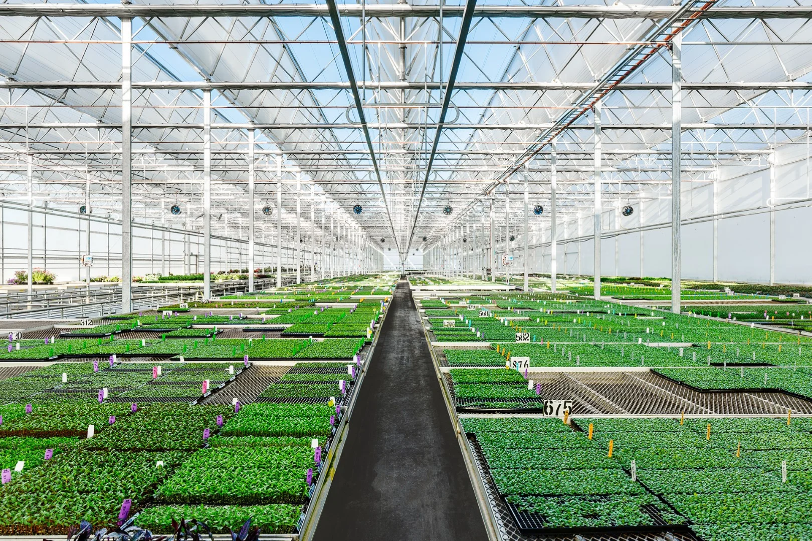 PS17001_758Dandenong_HastingsRd_EXTII_135 (Large).jpg