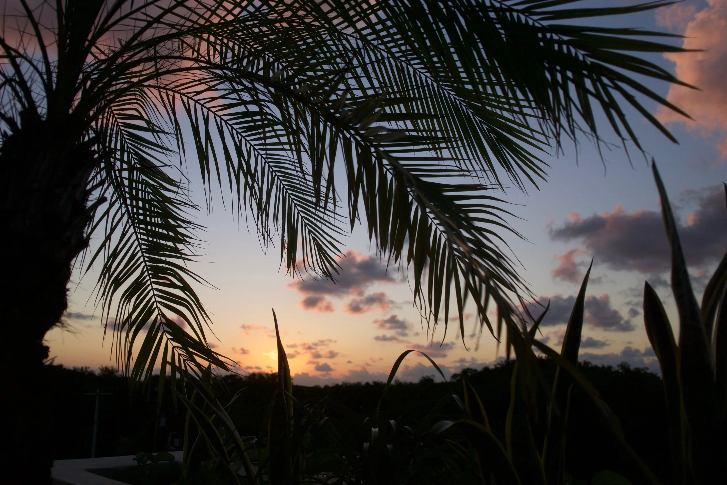 Scene from our last AM rooftop yoga session | no filter.