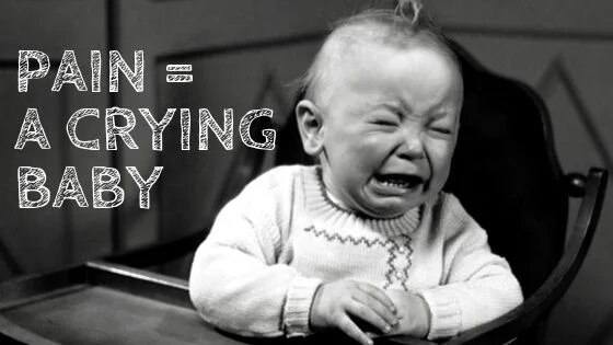 Pain Is Like A Crying Baby Kaizen Korea