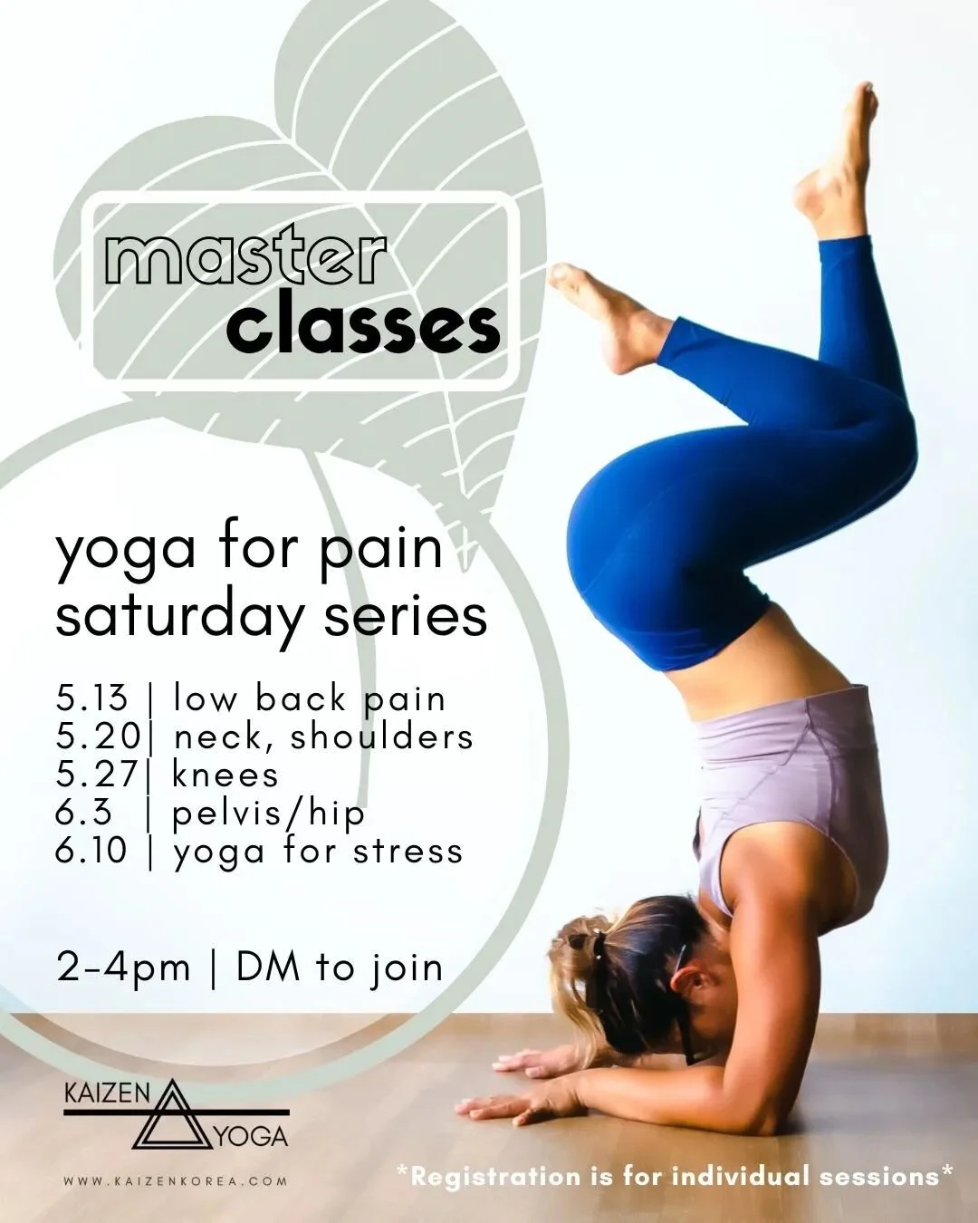 Healing Yoga for Pain master classes are back! Starting Saturday, May 13- each week covers a different pain point. Registration is for individual sessions. 
Self-care is incredibly empowering- chronic pain isn't  something you need to "learn to