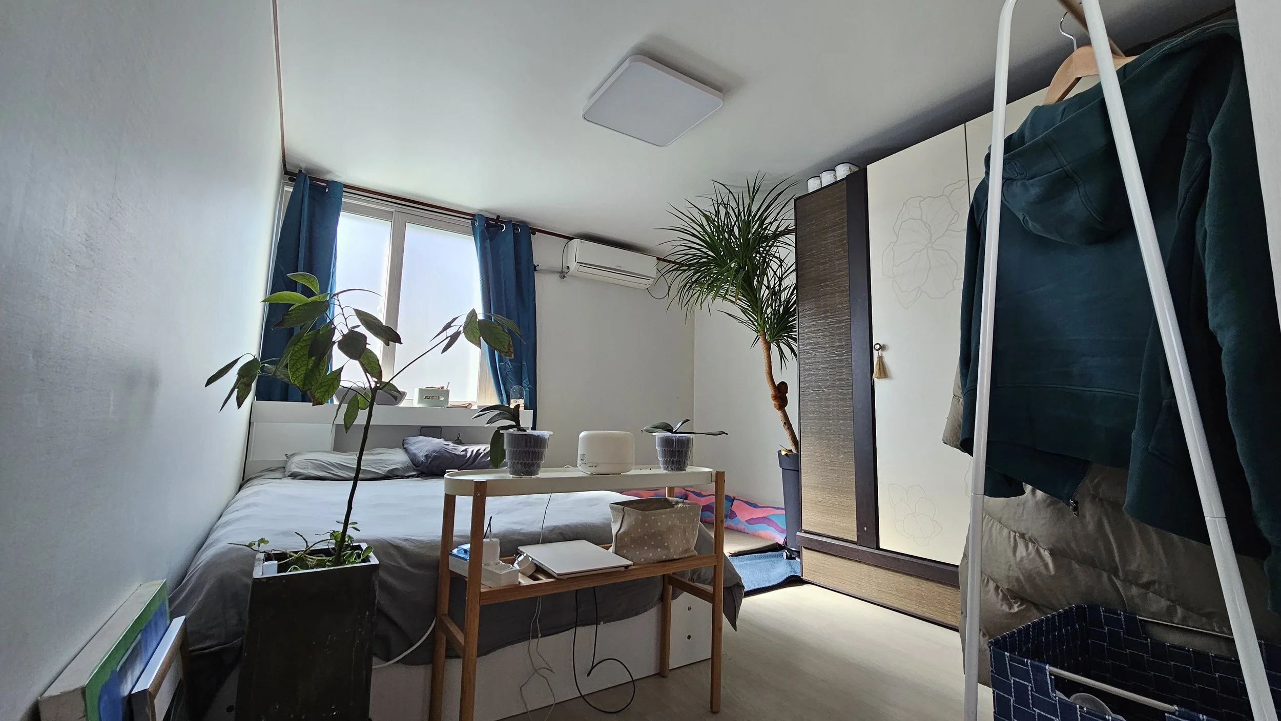 KakaoTalk_Photo_2026-03-05-20-48-09 003.jpeg