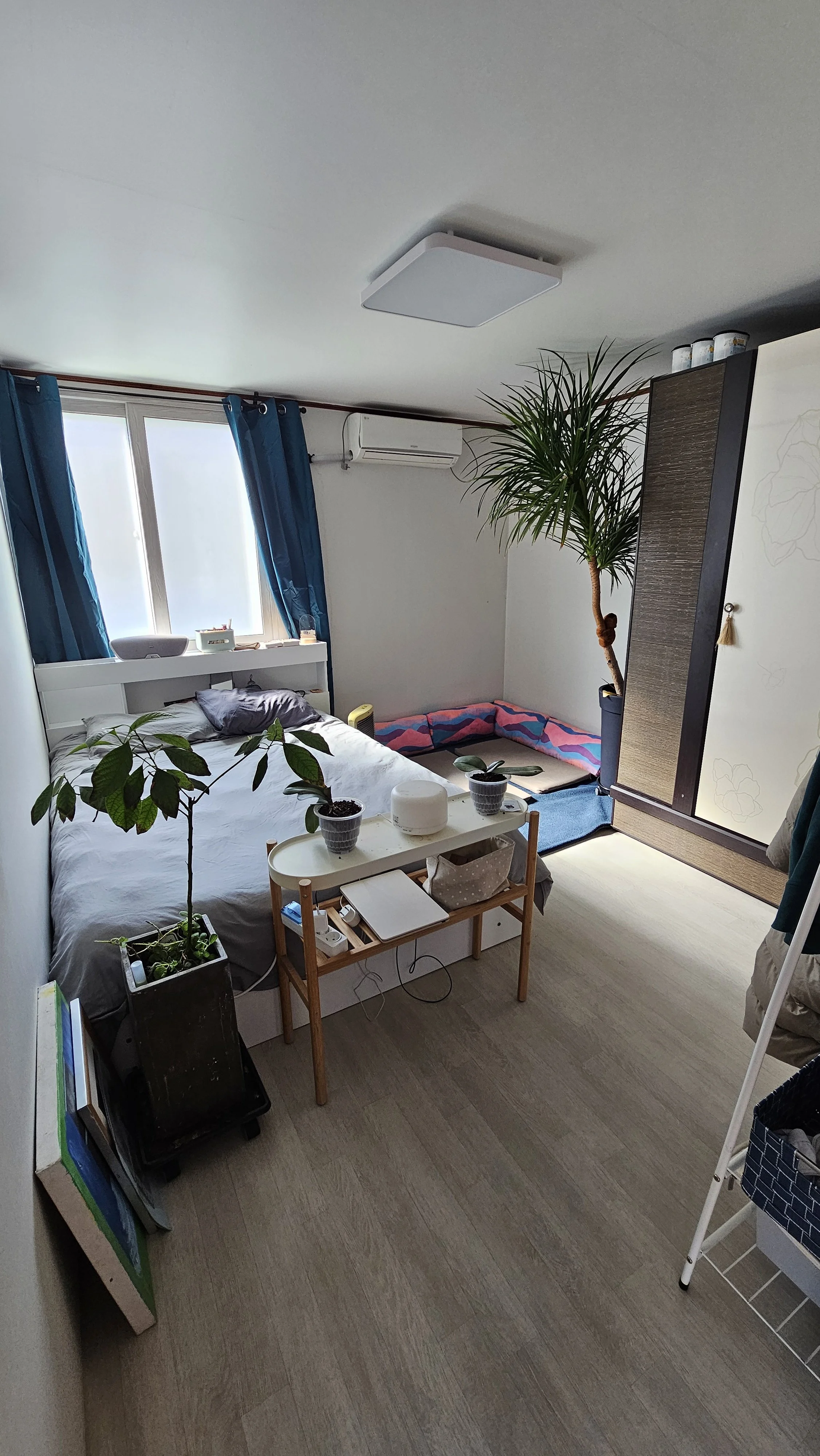 KakaoTalk_Photo_2026-03-05-20-48-08 001.jpeg