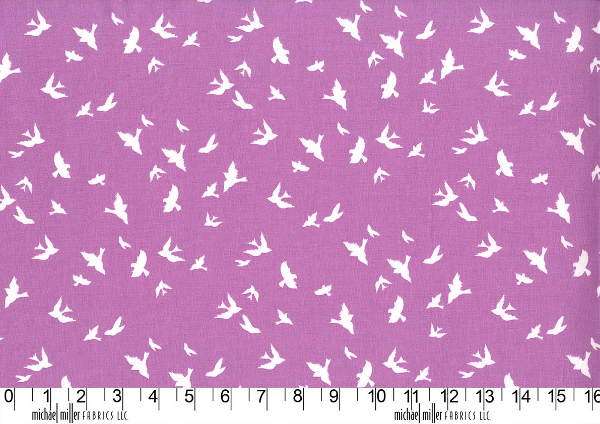 Flight in Orchid