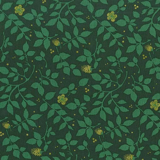 Brambleberry in Evergreen