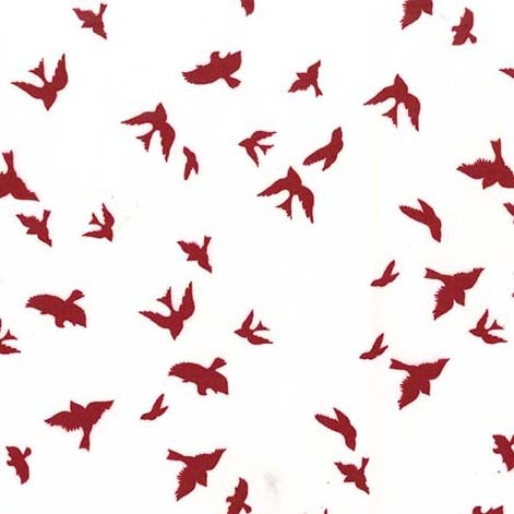 Flight in Cranberry