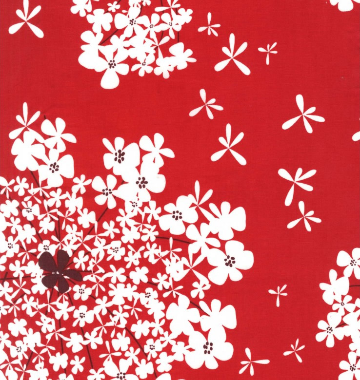 Wild Carrot in Red