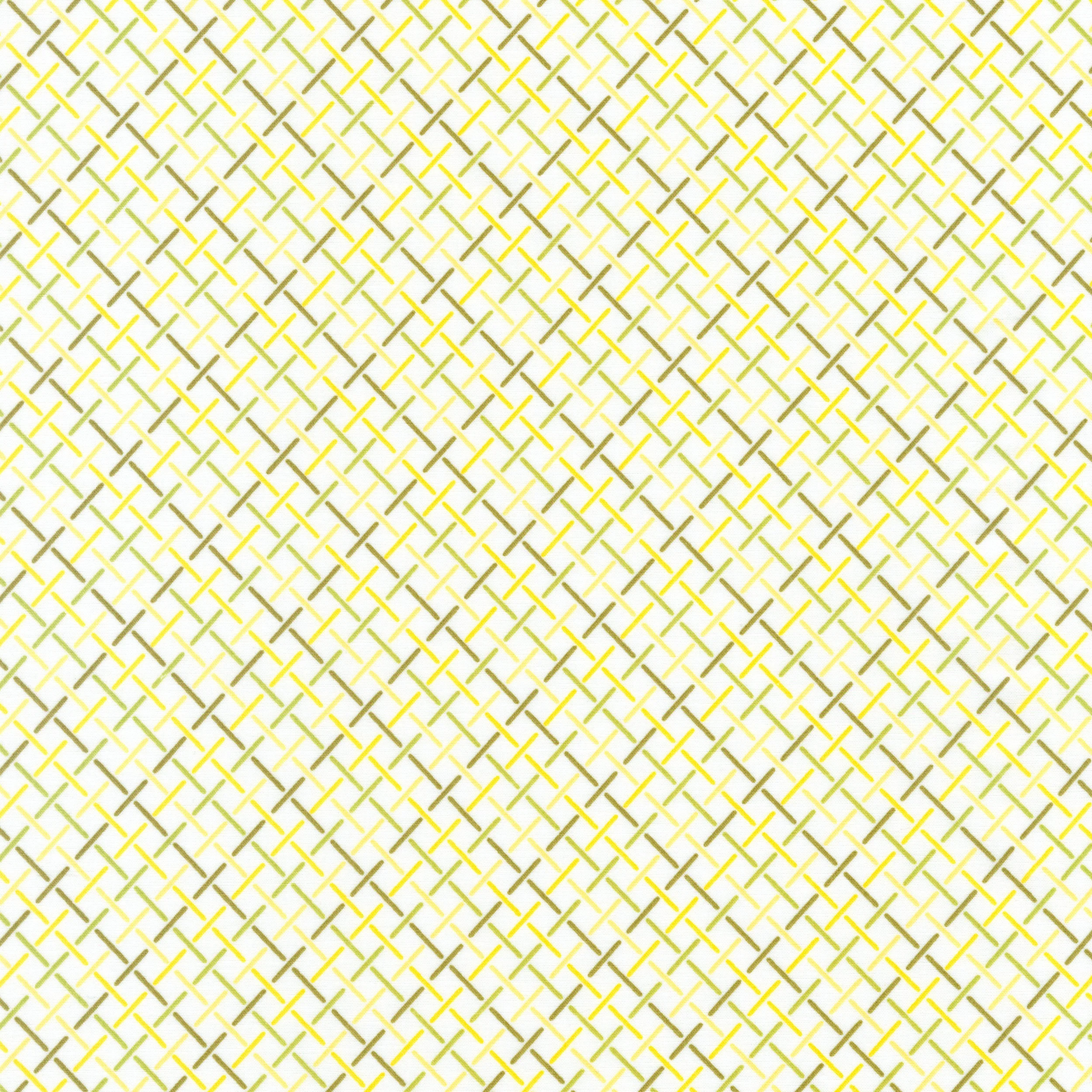 AVL-18153-49 Raffia Weave OLIVE