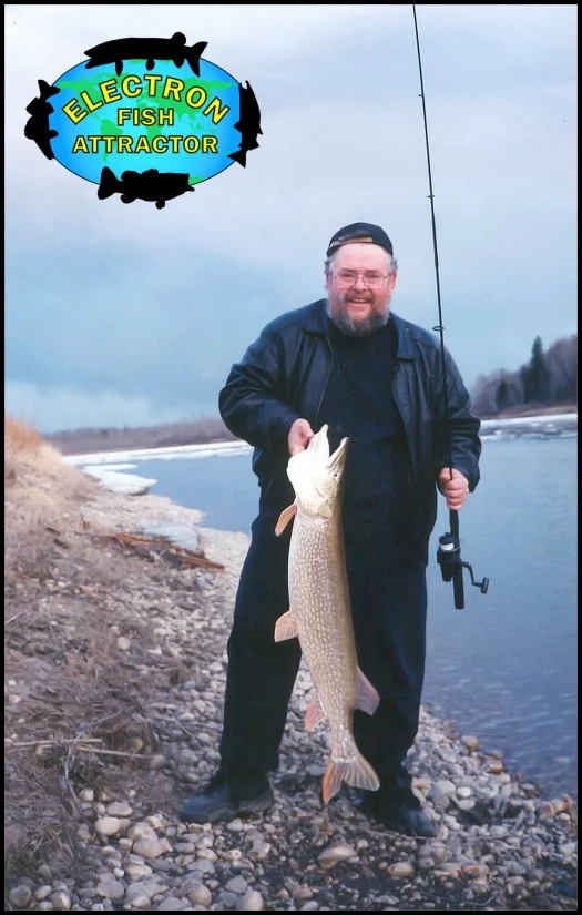 A quick photo of Rick Crozier with this North Saskatchewan River beauty before being released.