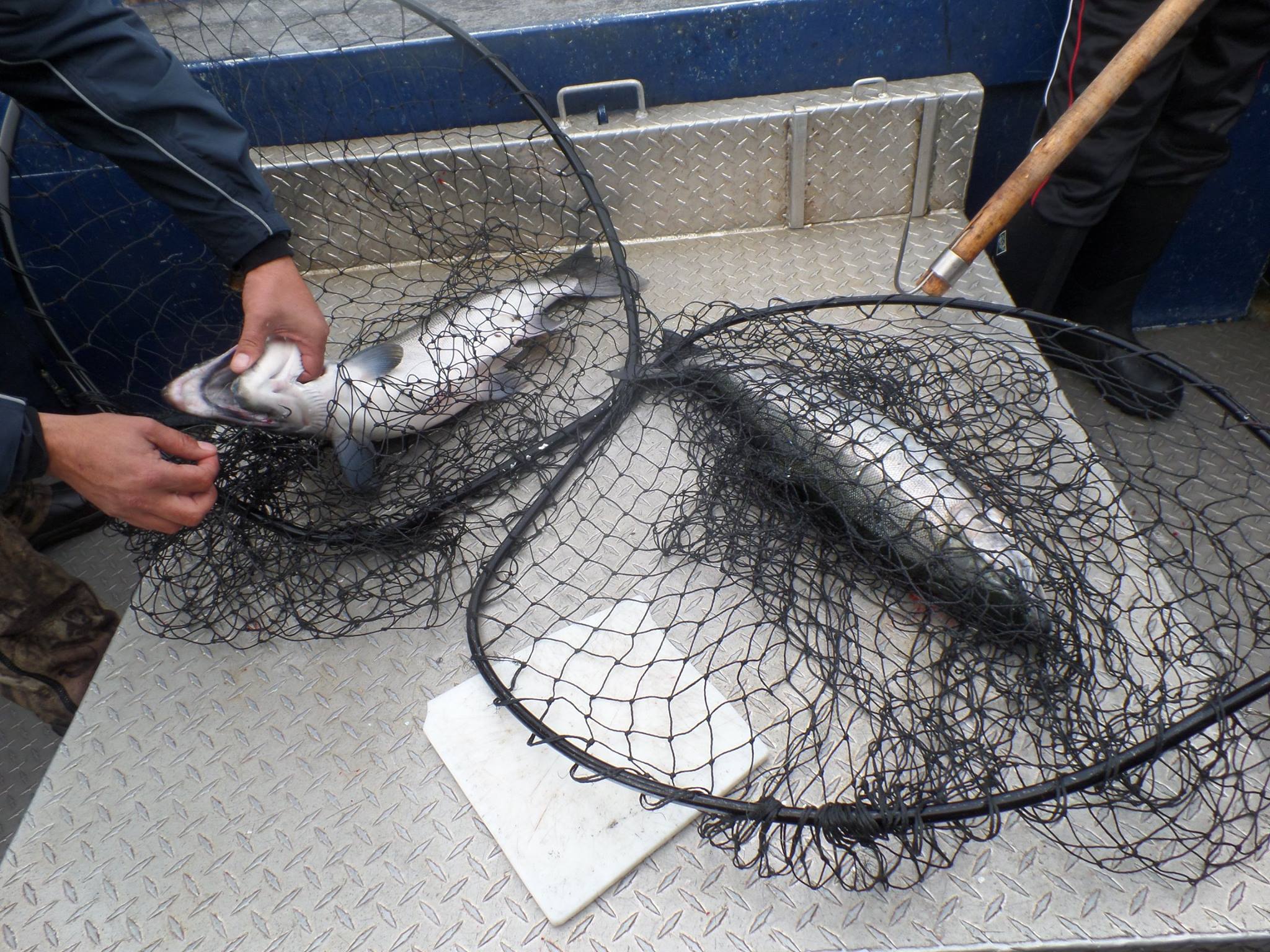 2014-09-17 deep springs charters.jpg