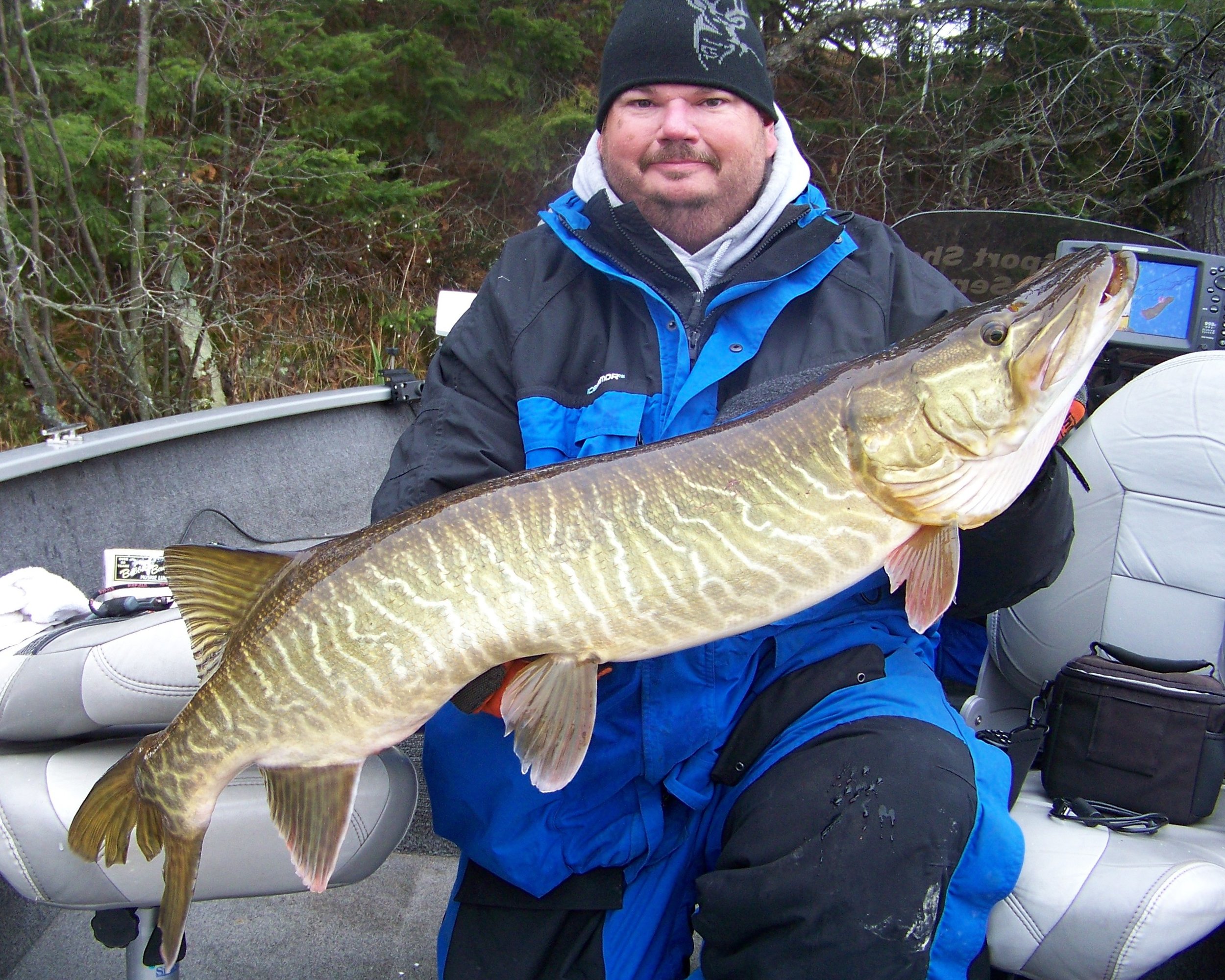 John Carlson-Tiger Musky.jpg