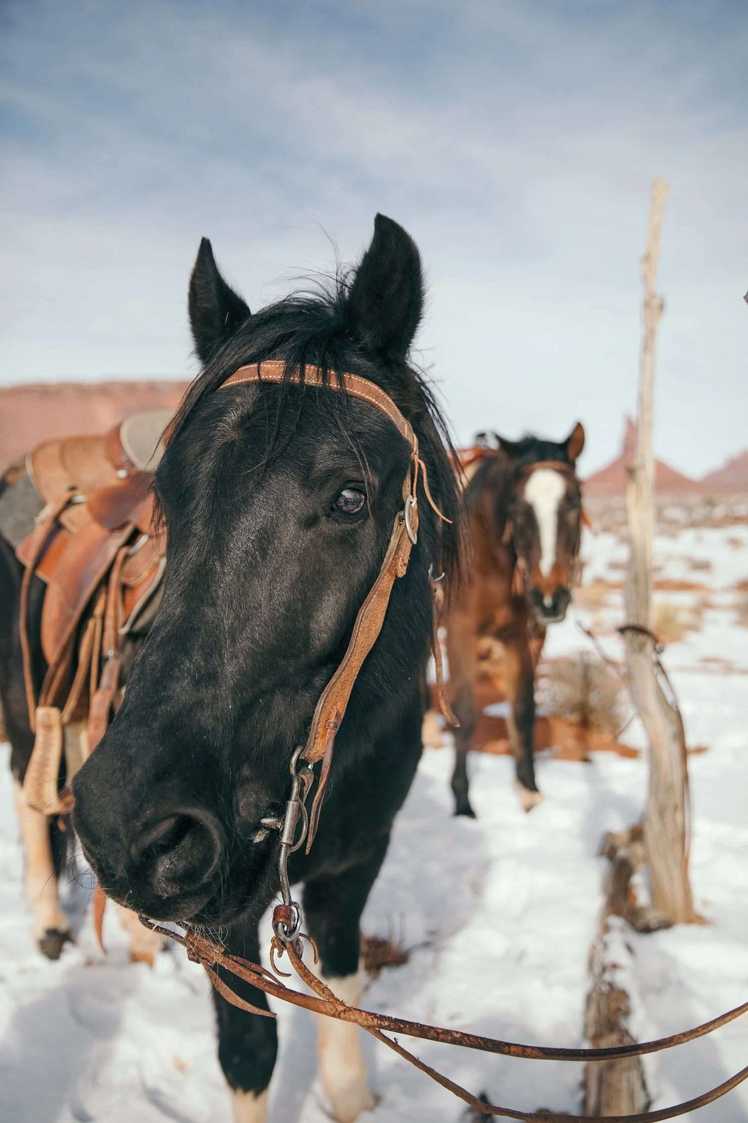 F42A9414-2-2 copy 2.jpg