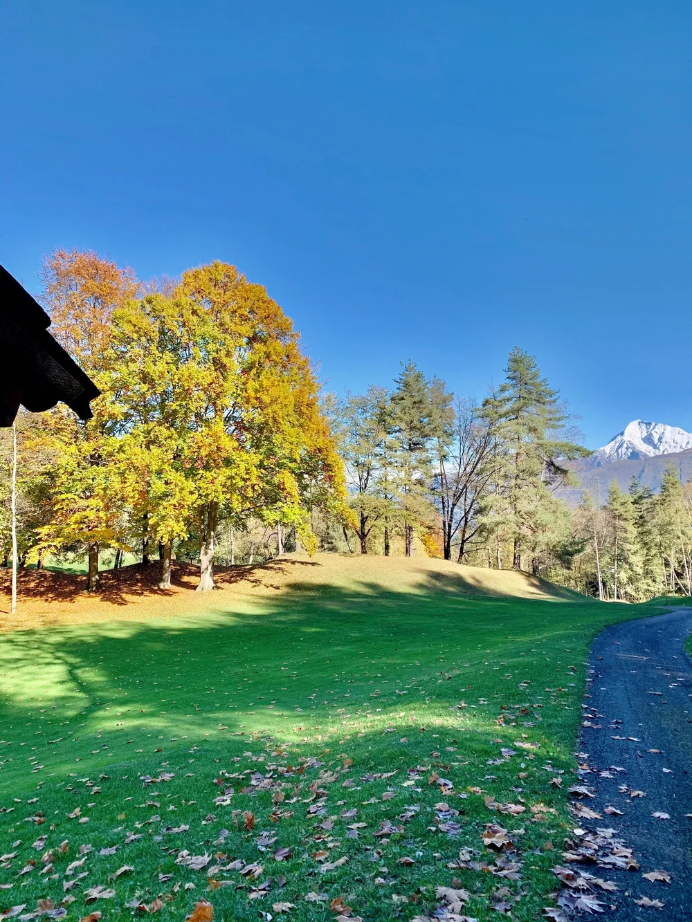 Autumn is a second Spring - Lake Como 