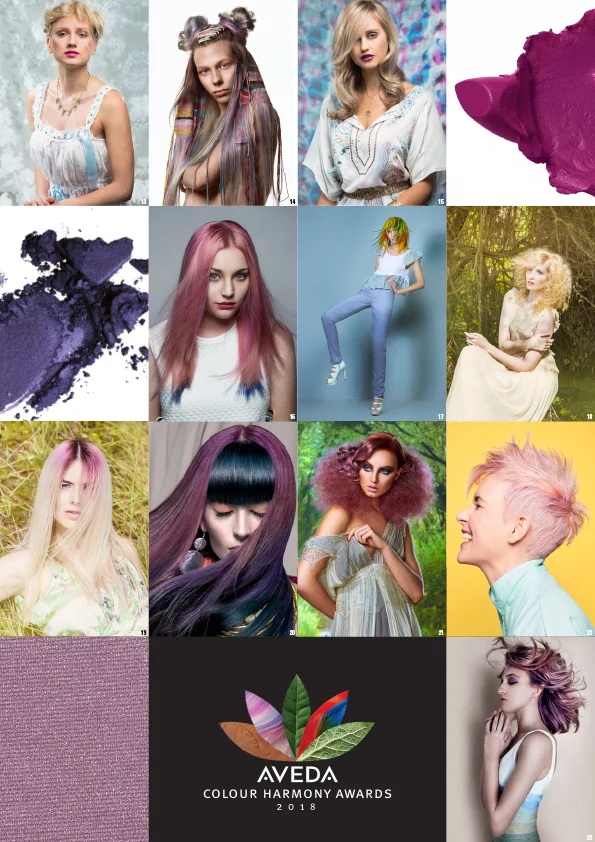 CH Booklet_2018_V4_Part3.jpg