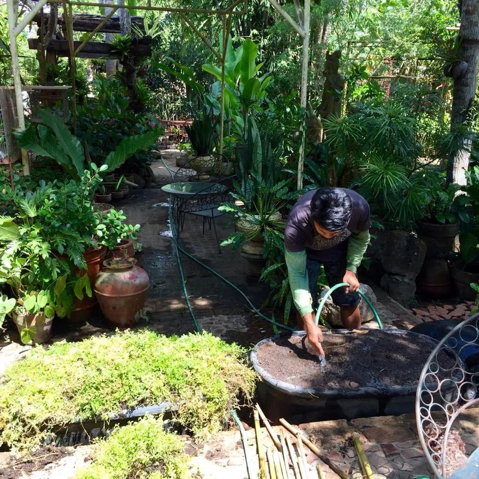 Our gardener, Marlon, taking care of business. 