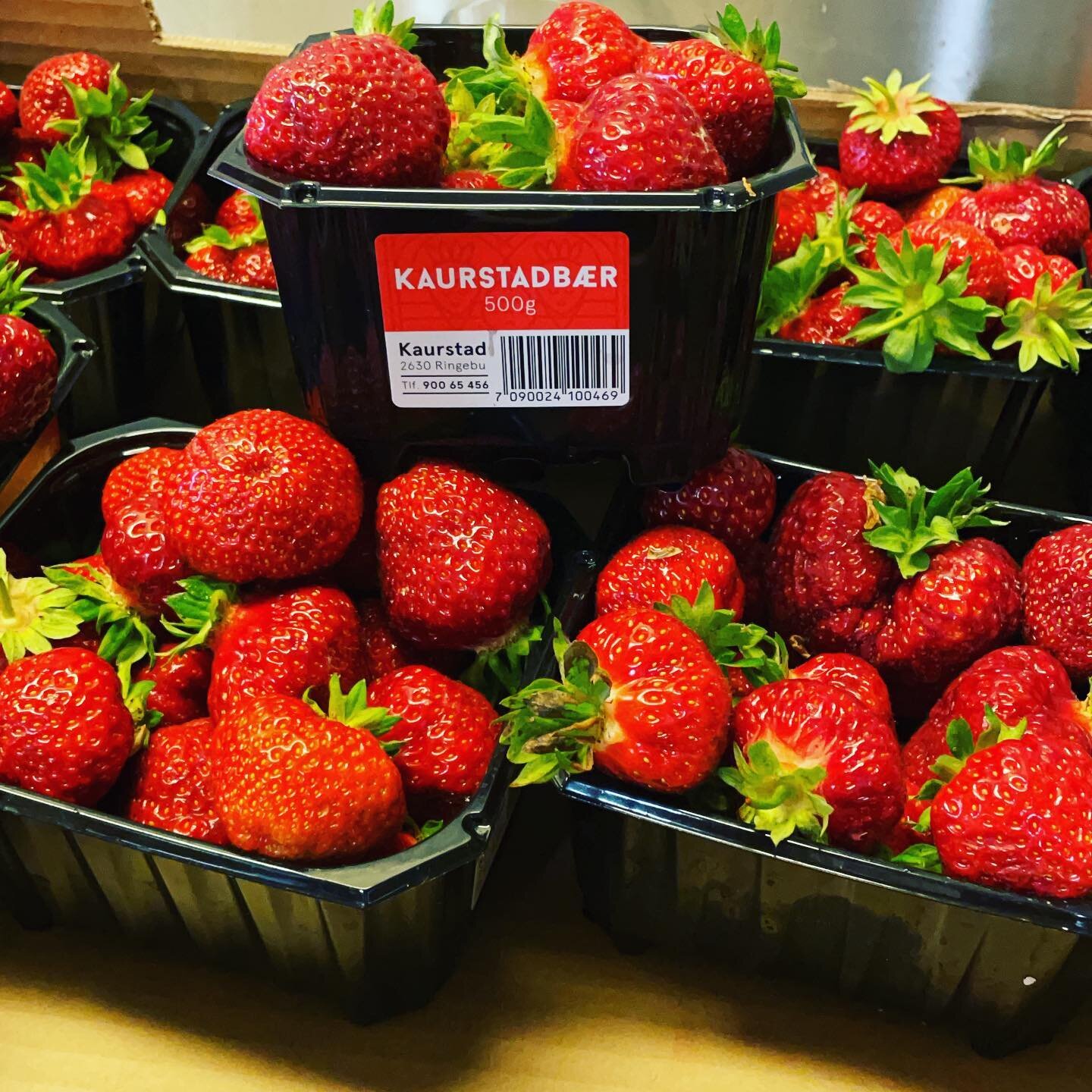 Kaurstadb&aelig;ra p&aring; plass, det blir jordb&aelig;r p&aring; alt p&aring; Ruten i dag🤩🍓. #lokalmat #matrutegudbrandsdal #naturligvis #norskefjellstuer