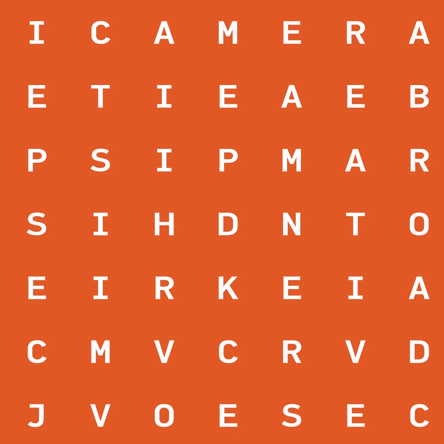 Bespoke Word Search Wallpaper - Identity Papers - custom made - your choice of words and colours