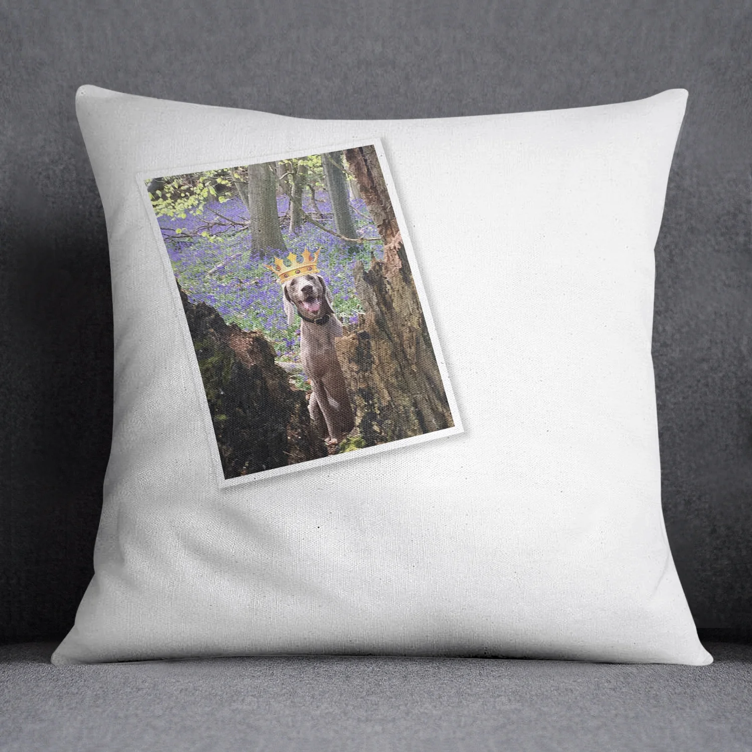 identitypapers-memento-cushion-4b.jpg