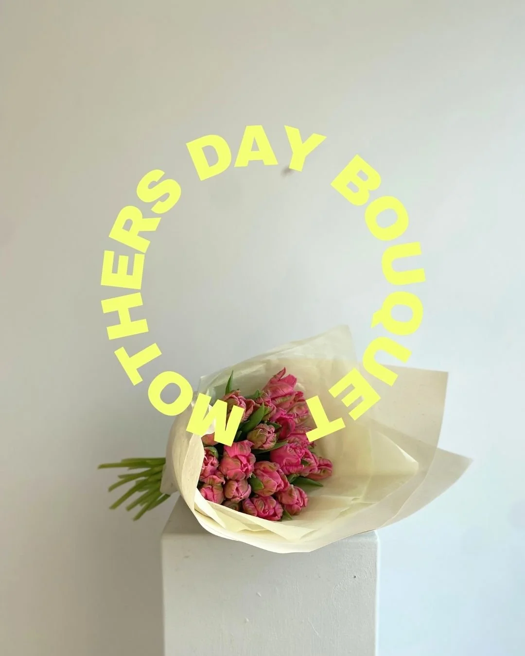 Parrot Tulip Bundle