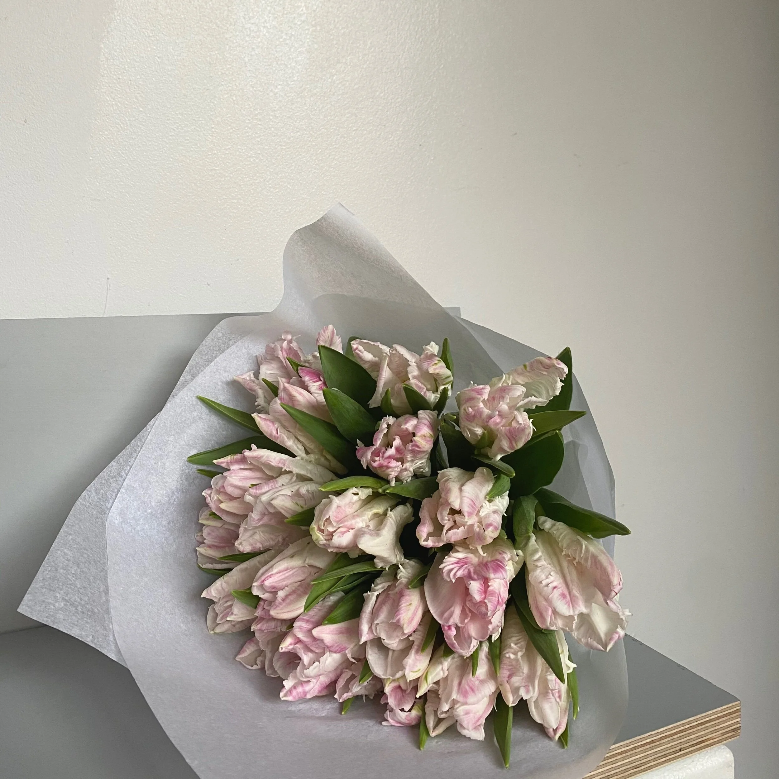 286BC38B-3381-4B8E-8FBC-A7930A3085C2